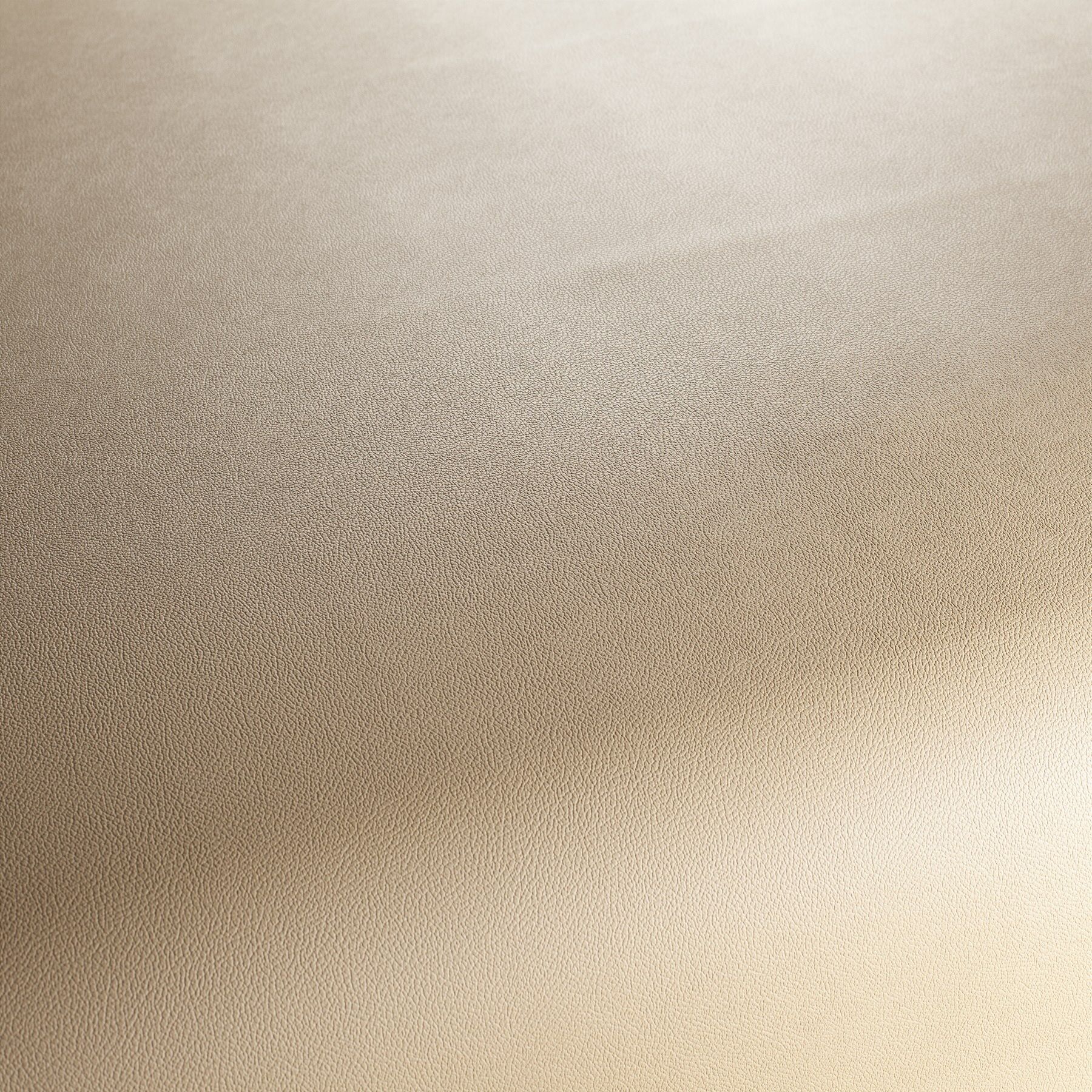 Ja1050 073 Gauchito Jab Anstoetz Kunstleder Meterware Beige