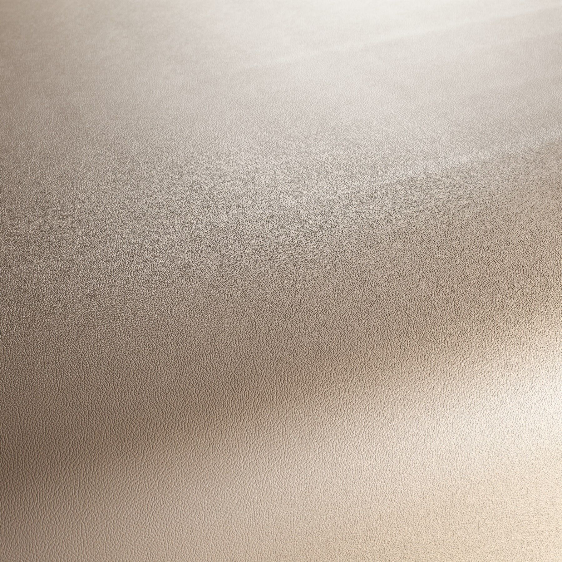 Ja1050 074 Gauchito Jab Anstoetz Kunstleder Meterware Beige