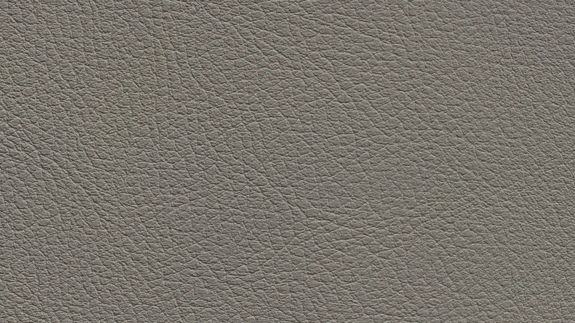 331446 Sk Chance Sonnhaus Kunstleder Meterware Grau 331446 Sk Chance Sonnhaus Kunstleder Meterware Grau