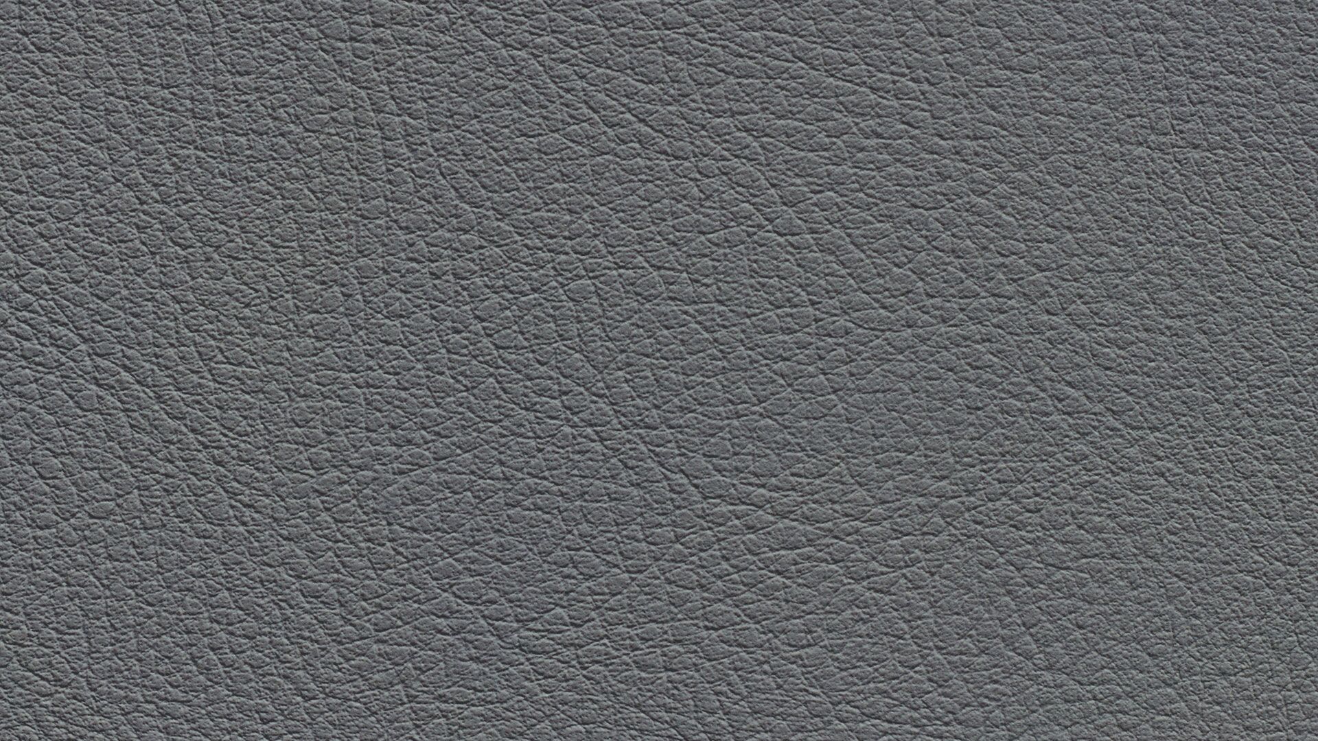 331448 Sk Chance Sonnhaus Kunstleder Meterware Grau 331448 Sk Chance Sonnhaus Kunstleder Meterware Grau