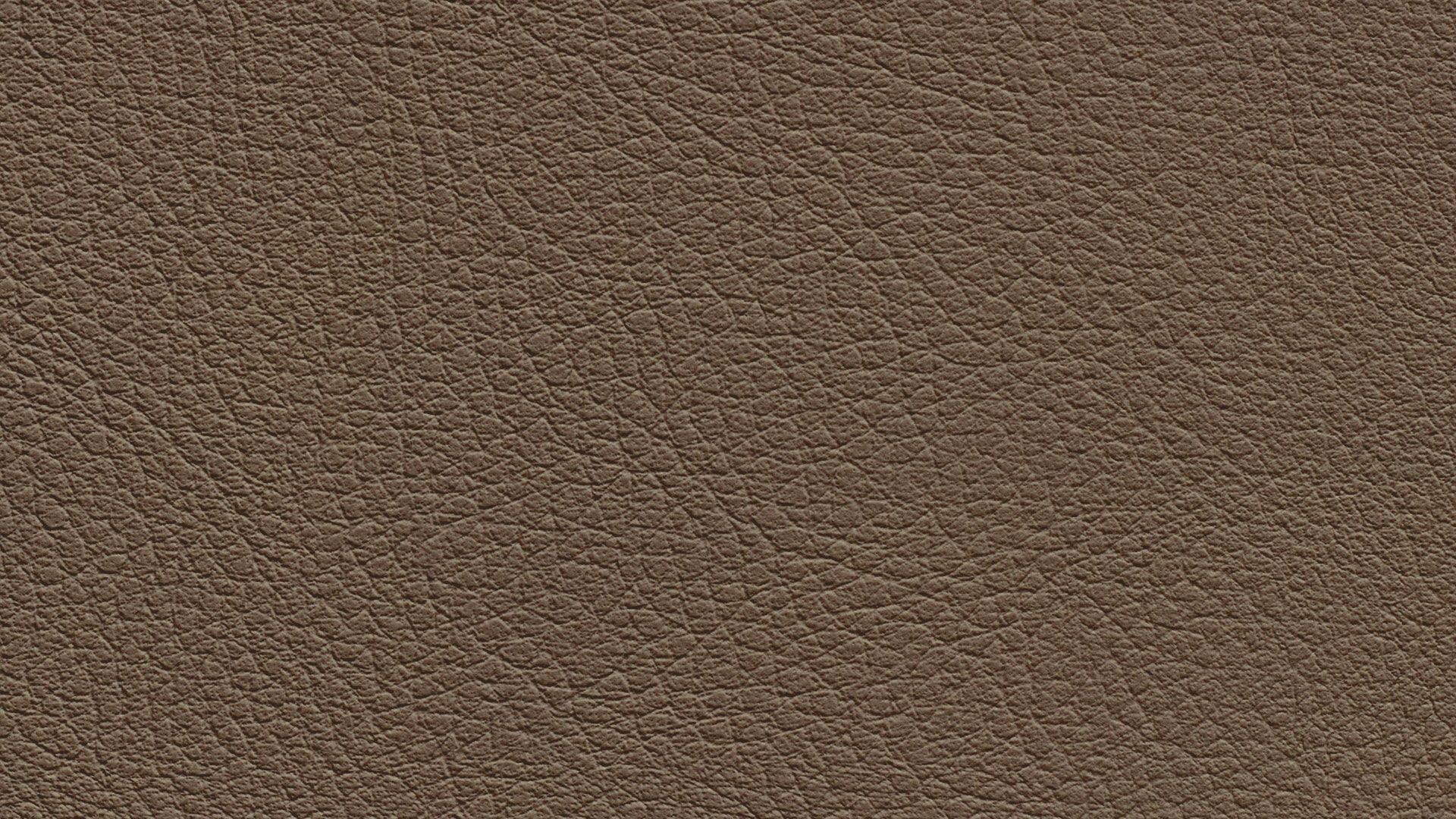 331501 Sk Chance Sonnhaus Kunstleder Meterware Braun 331501 Sk Chance Sonnhaus Kunstleder Meterware Braun