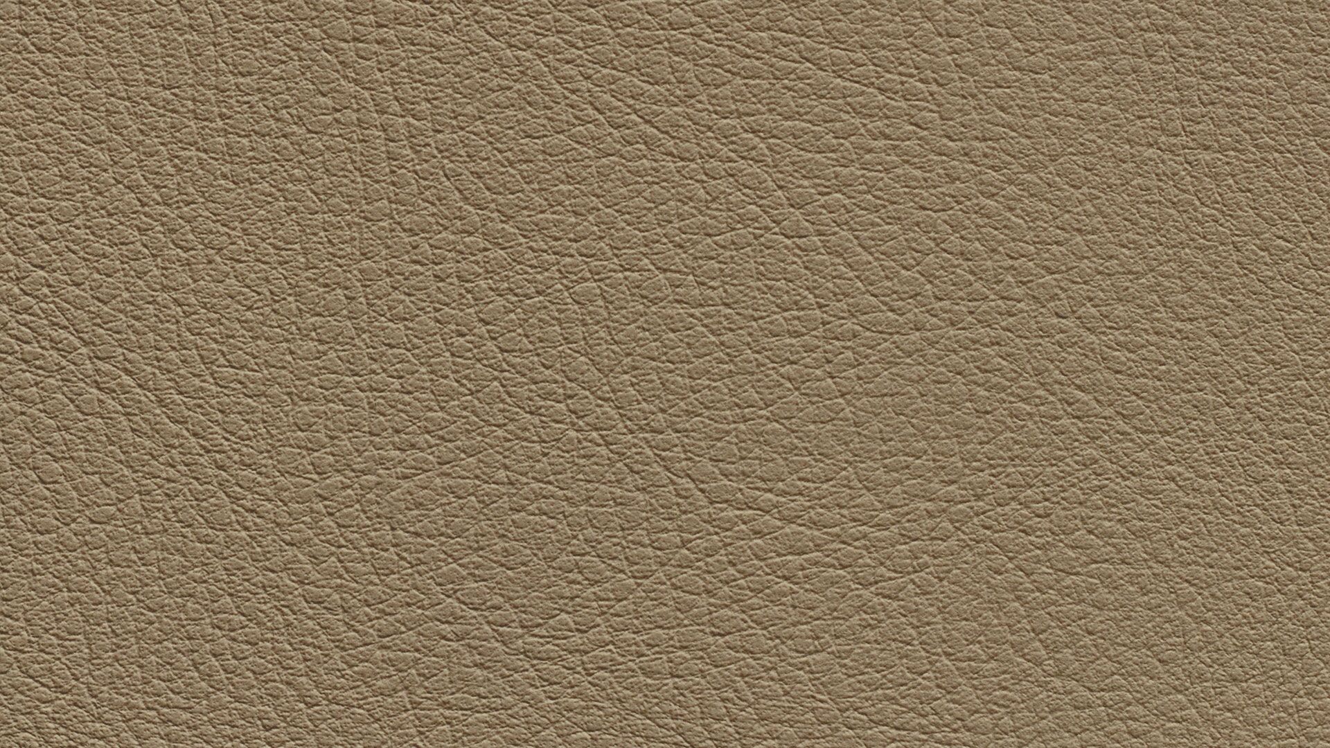 331579 Sk Chance Sonnhaus Kunstleder Meterware Braun