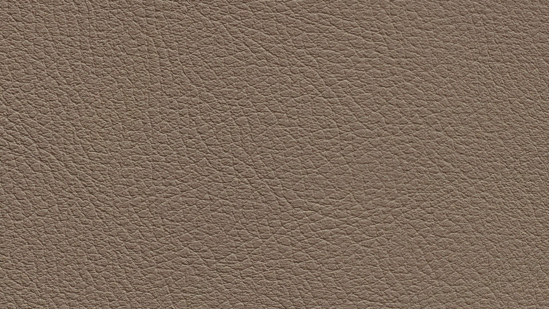 331580 Sk Chance Sonnhaus Kunstleder Meterware Braun