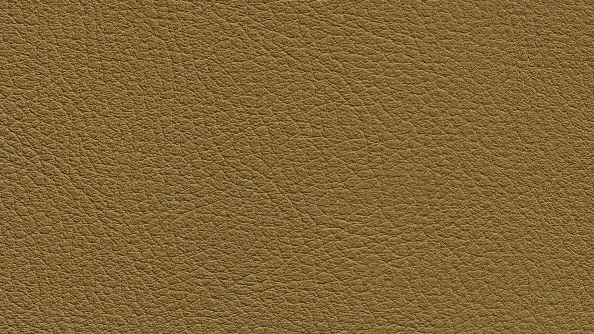 331584 Sk Chance Sonnhaus Kunstleder Meterware Gruen Gelb 331584 Sk Chance Sonnhaus Kunstleder Meterware Gruen Gelb