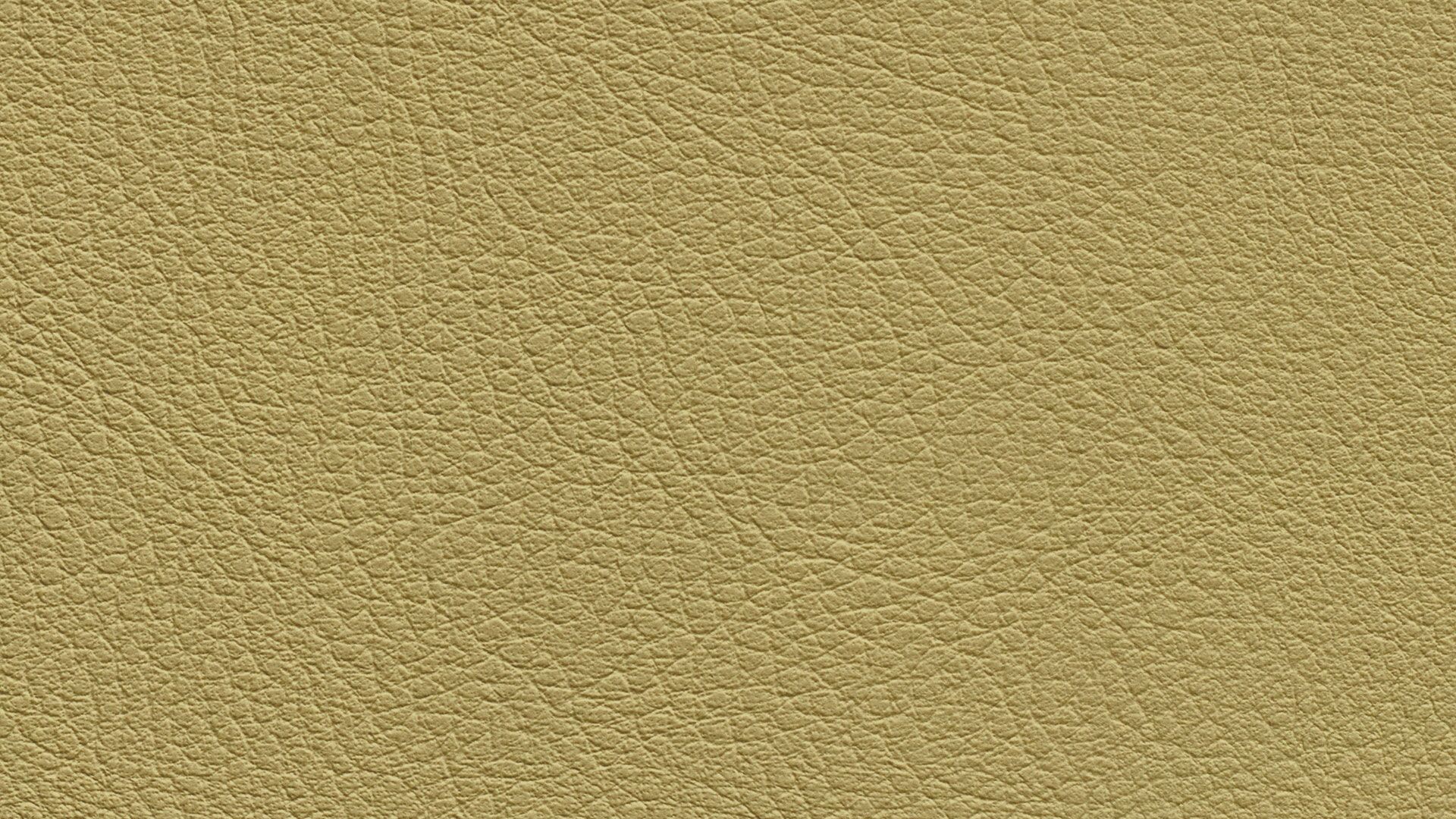 331596 Sk Chance Sonnhaus Kunstleder Meterware Gruen Gelb 331596 Sk Chance Sonnhaus Kunstleder Meterware Gruen Gelb