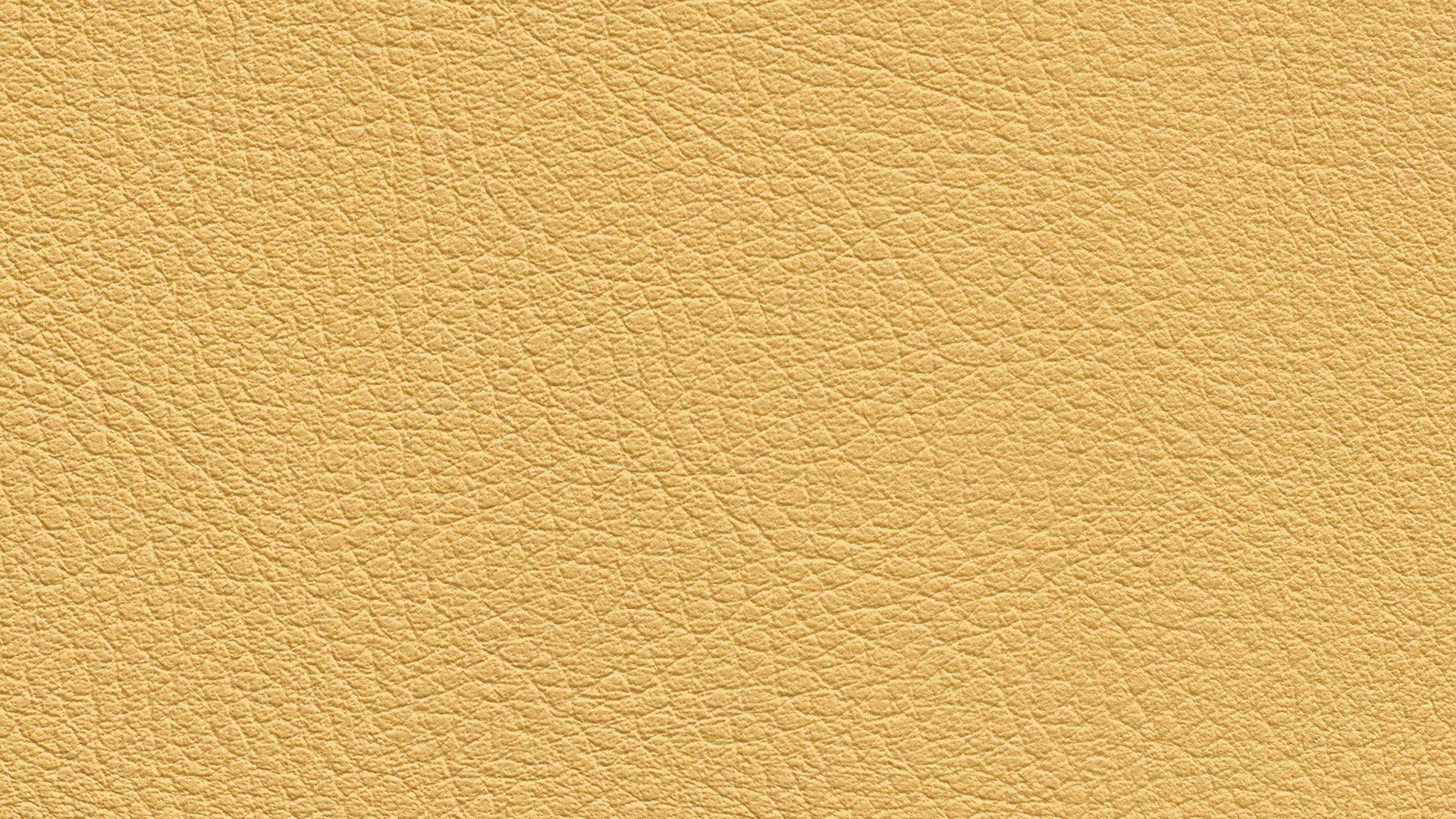 331601 Sk Chance Sonnhaus Kunstleder Meterware Gelb 331601 Sk Chance Sonnhaus Kunstleder Meterware Gelb