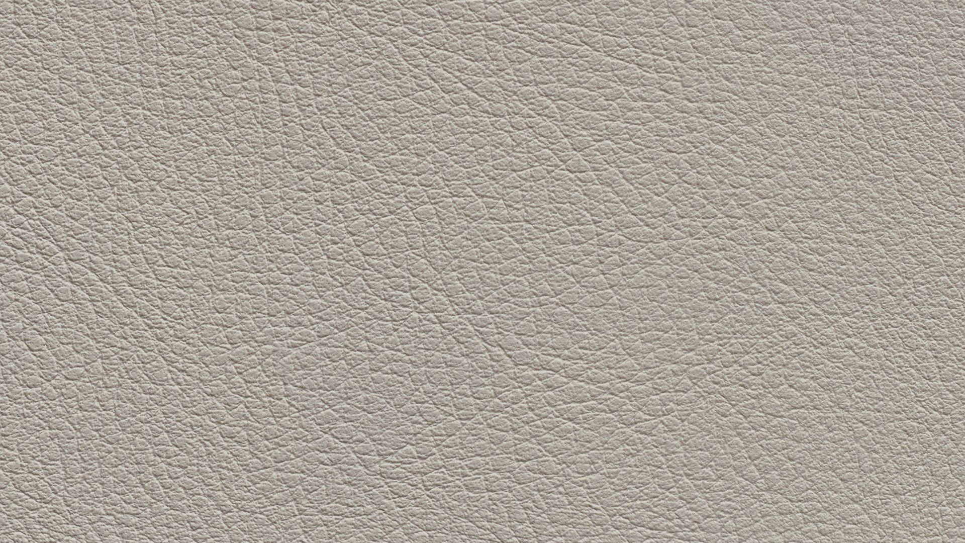 331622 Sk Chance Sonnhaus Kunstleder Meterware Grau 331622 Sk Chance Sonnhaus Kunstleder Meterware Grau