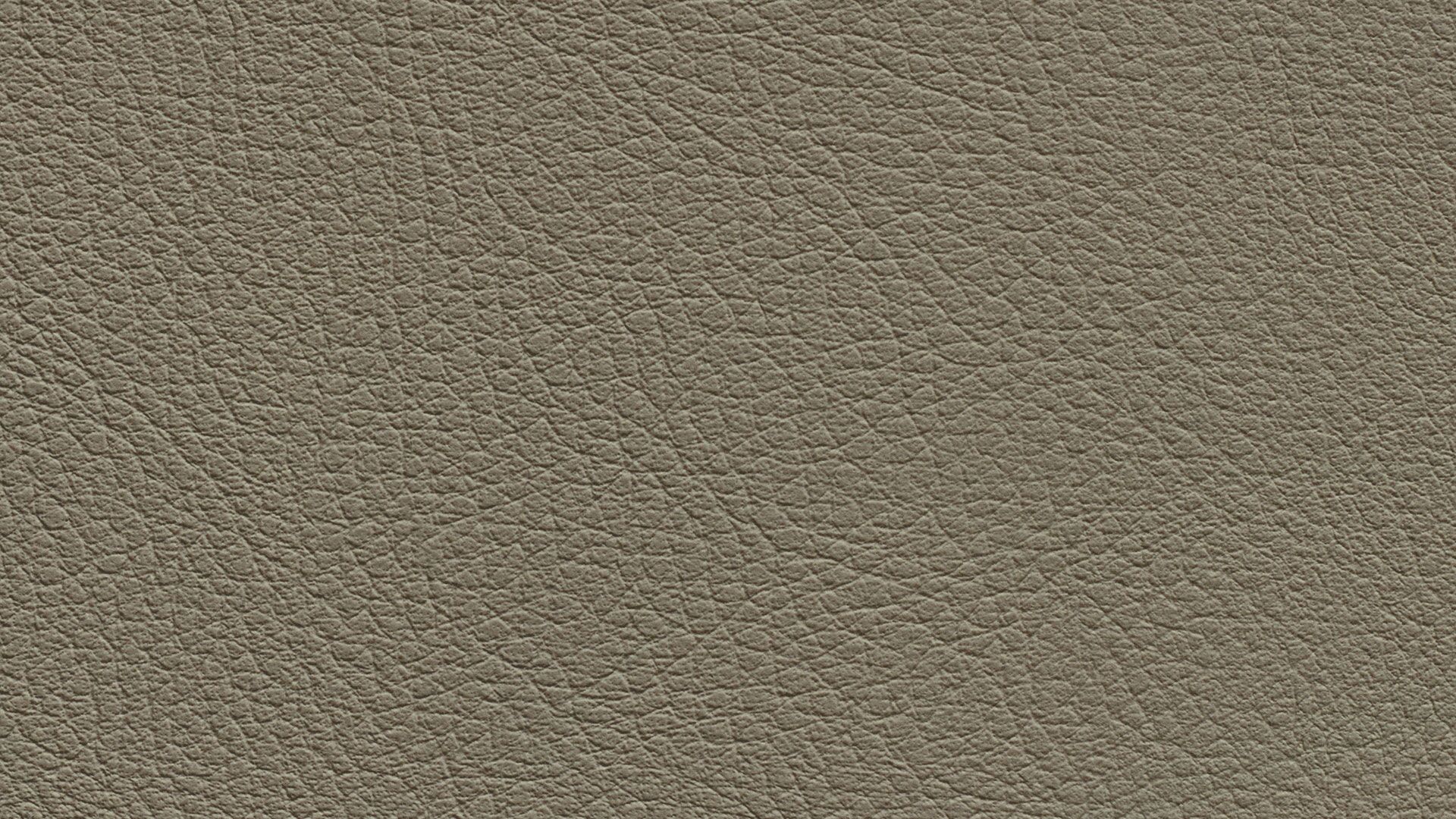 331646 Sk Chance Sonnhaus Kunstleder Meterware Gruen Grau