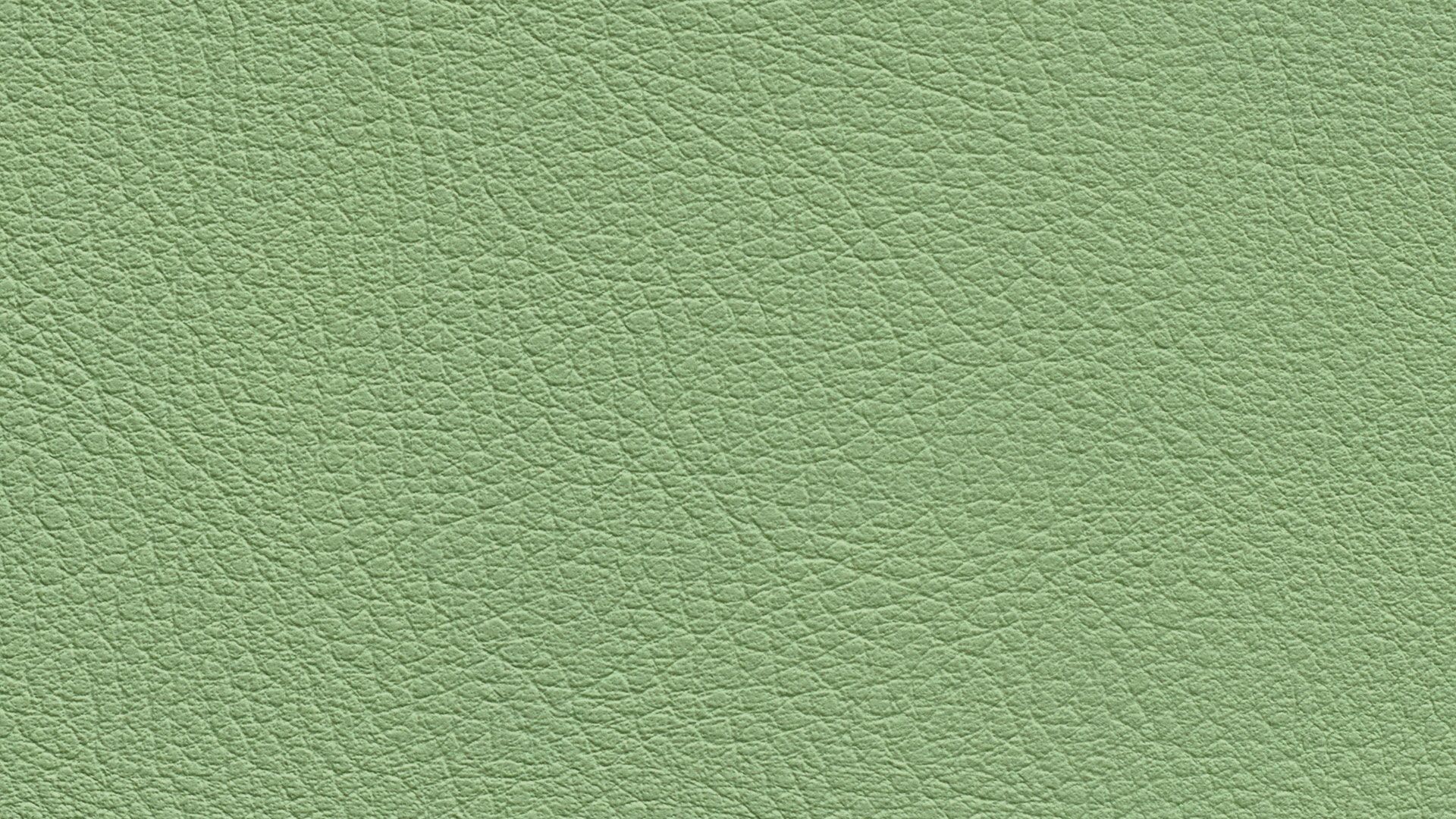 331648 Sk Chance Sonnhaus Kunstleder Meterware Gruen