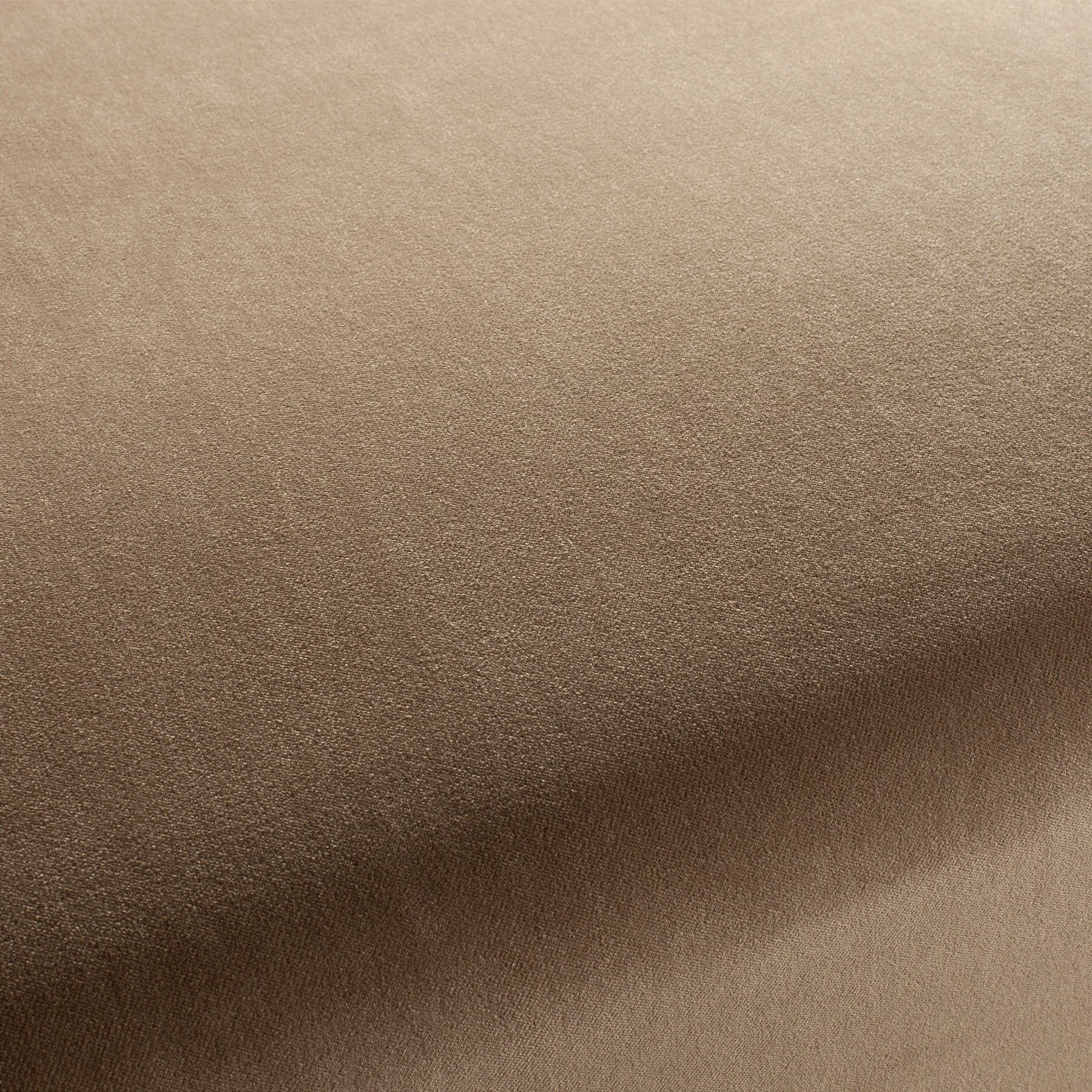 Ca7832 076 City Velvet Reloaded Samt Polsterstoff Beige Braun