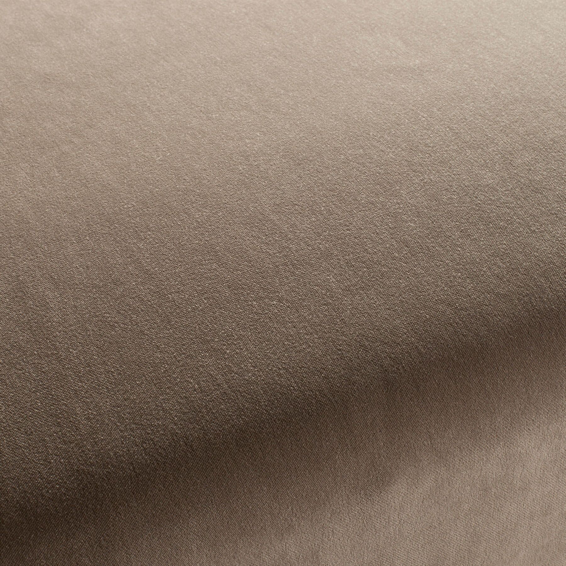 Ca7832 077 City Velvet Reloaded Samt Polsterstoff Beige