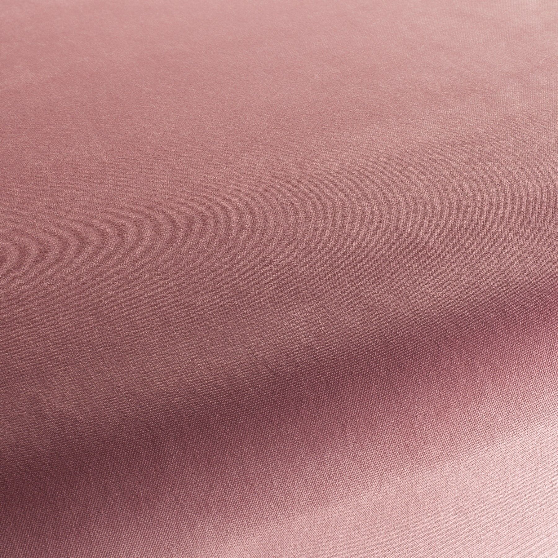 Ca7832 166 City Velvet Reloaded Samt Polsterstoff Rosa