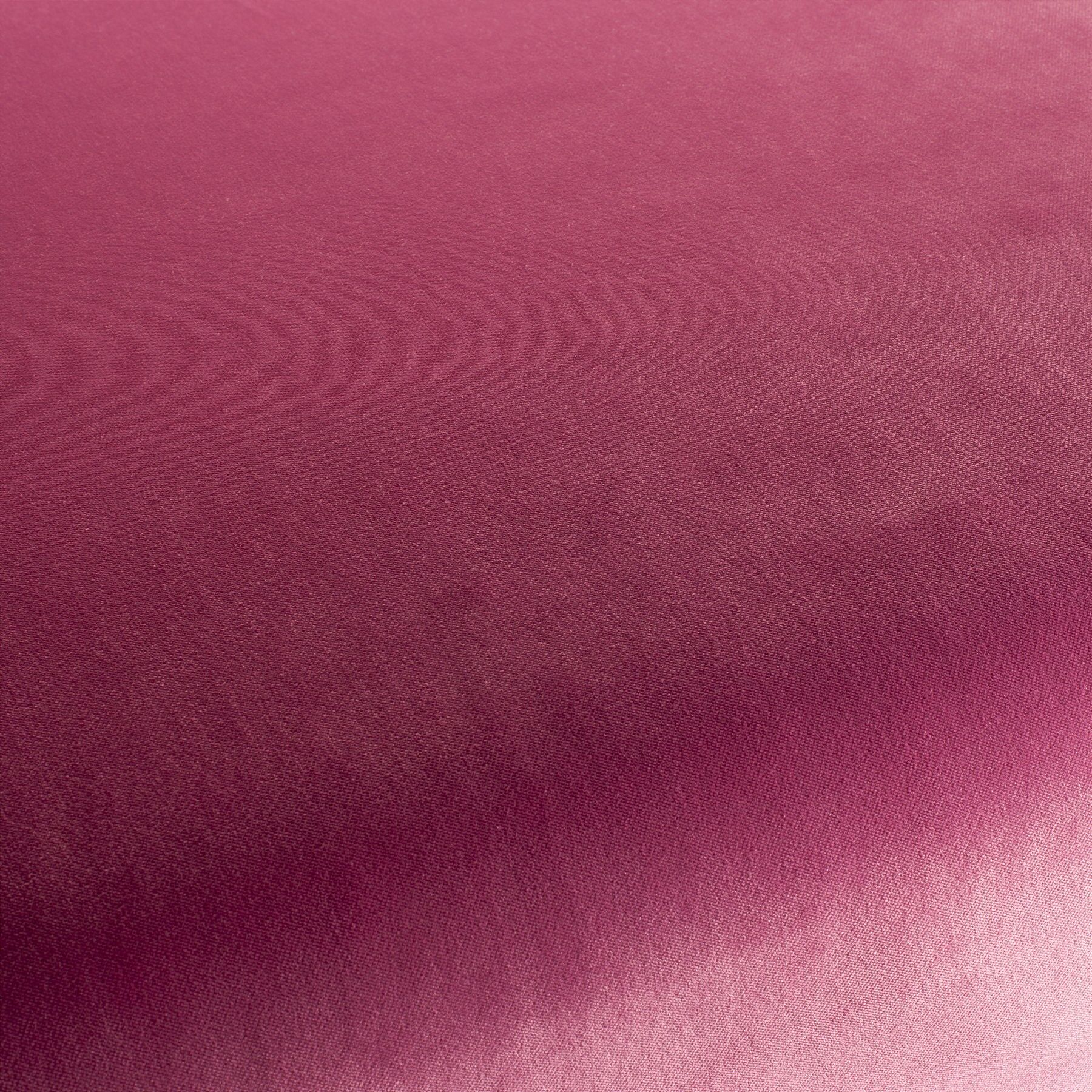 Ca7832 168 City Velvet Reloaded Samt Polsterstoff Rosa