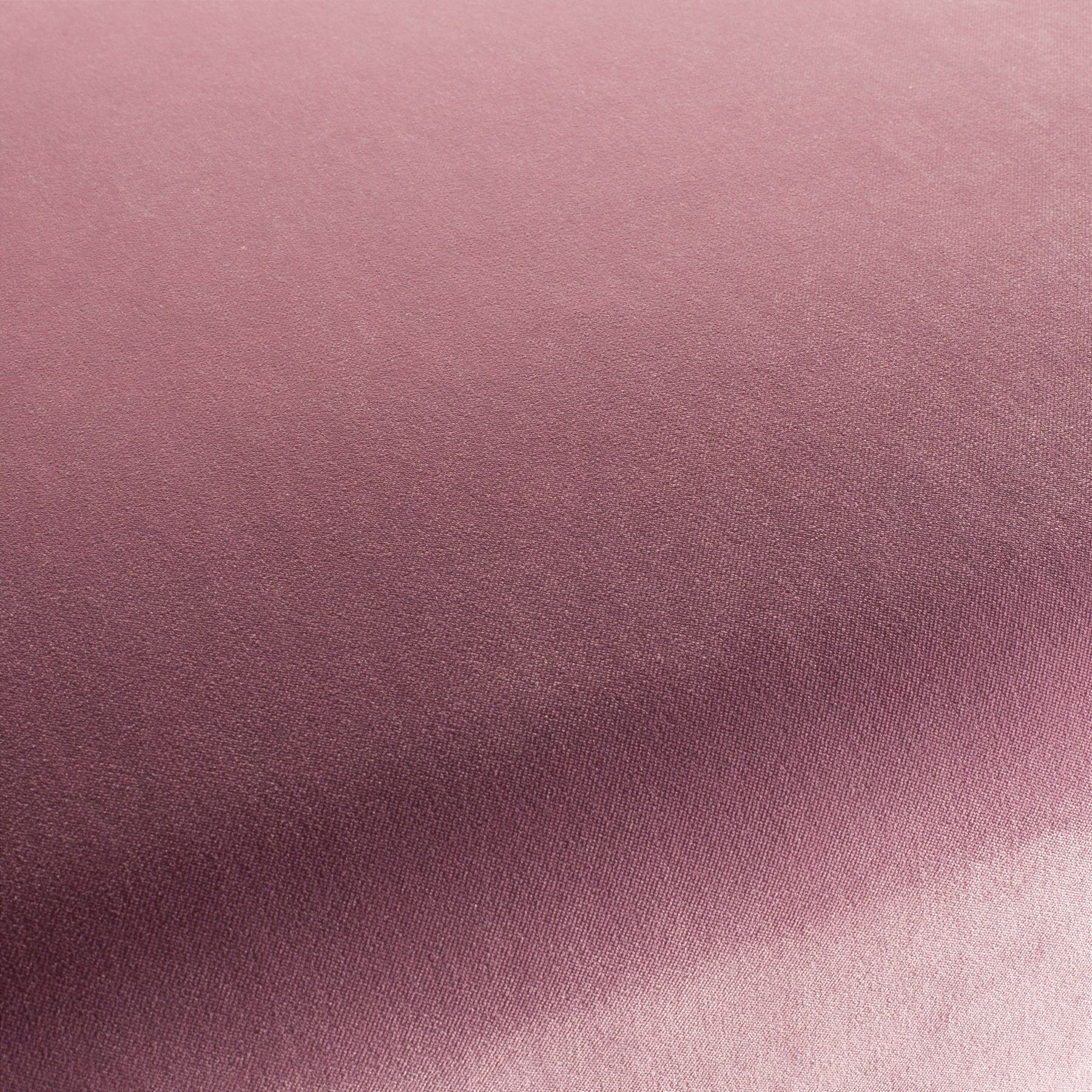 Ca7832 169 City Velvet Reloaded Samt Polsterstoff Rosa