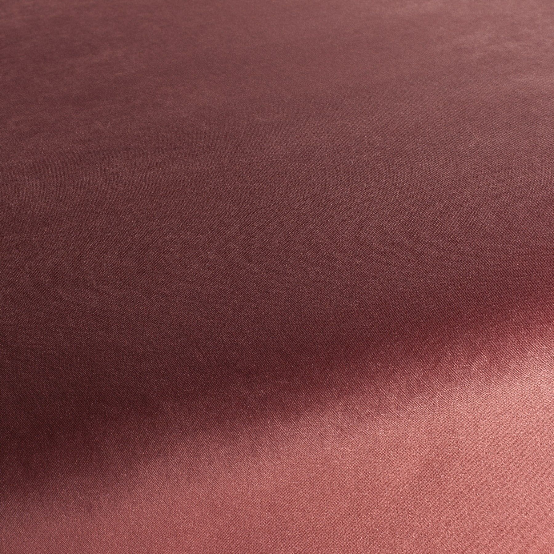Ja3005 161 Champion Jab Samtvorhang Samt Polsterstoff Rosa