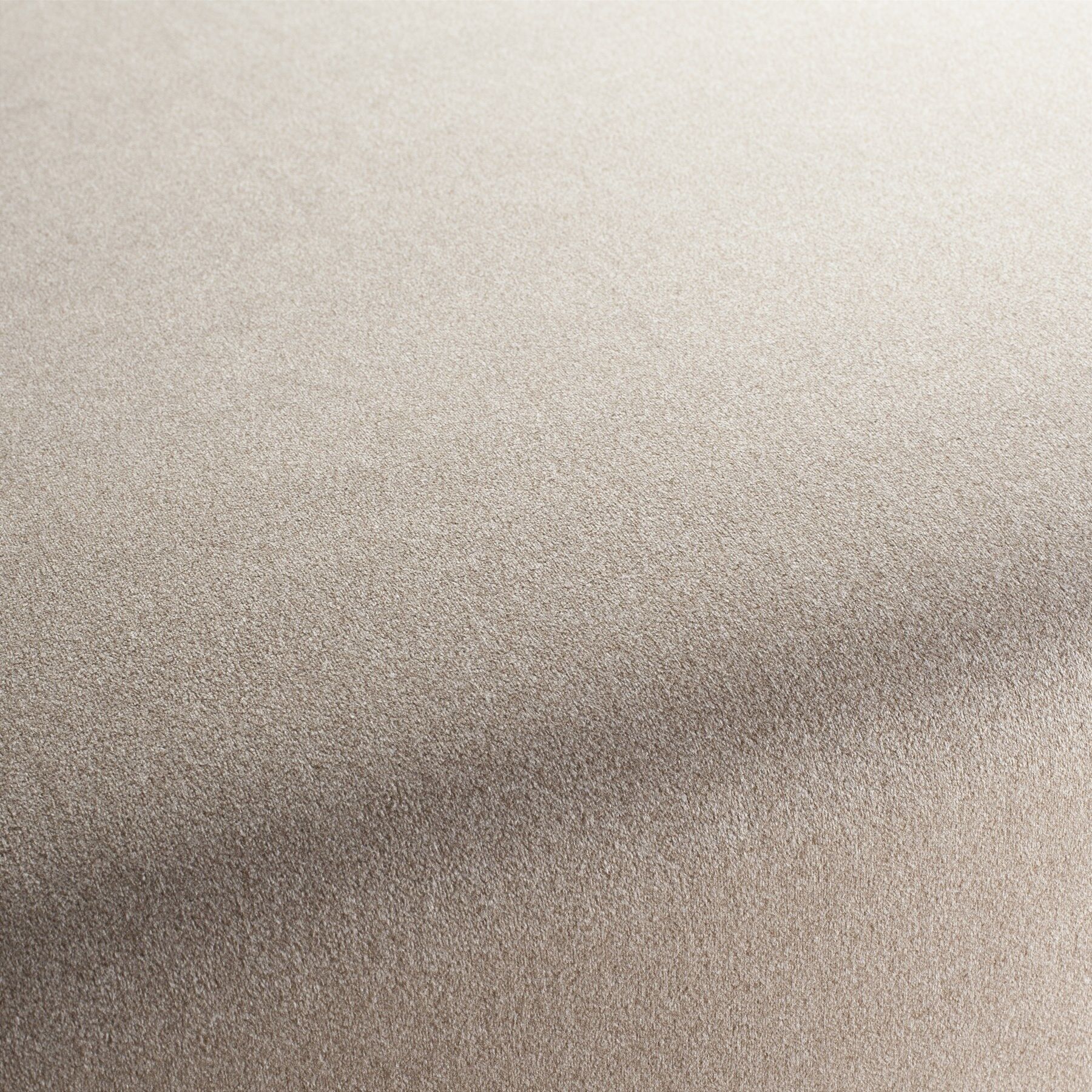 Ch3090 020 Shallow Chivasso Polsterstoff Samt Beige