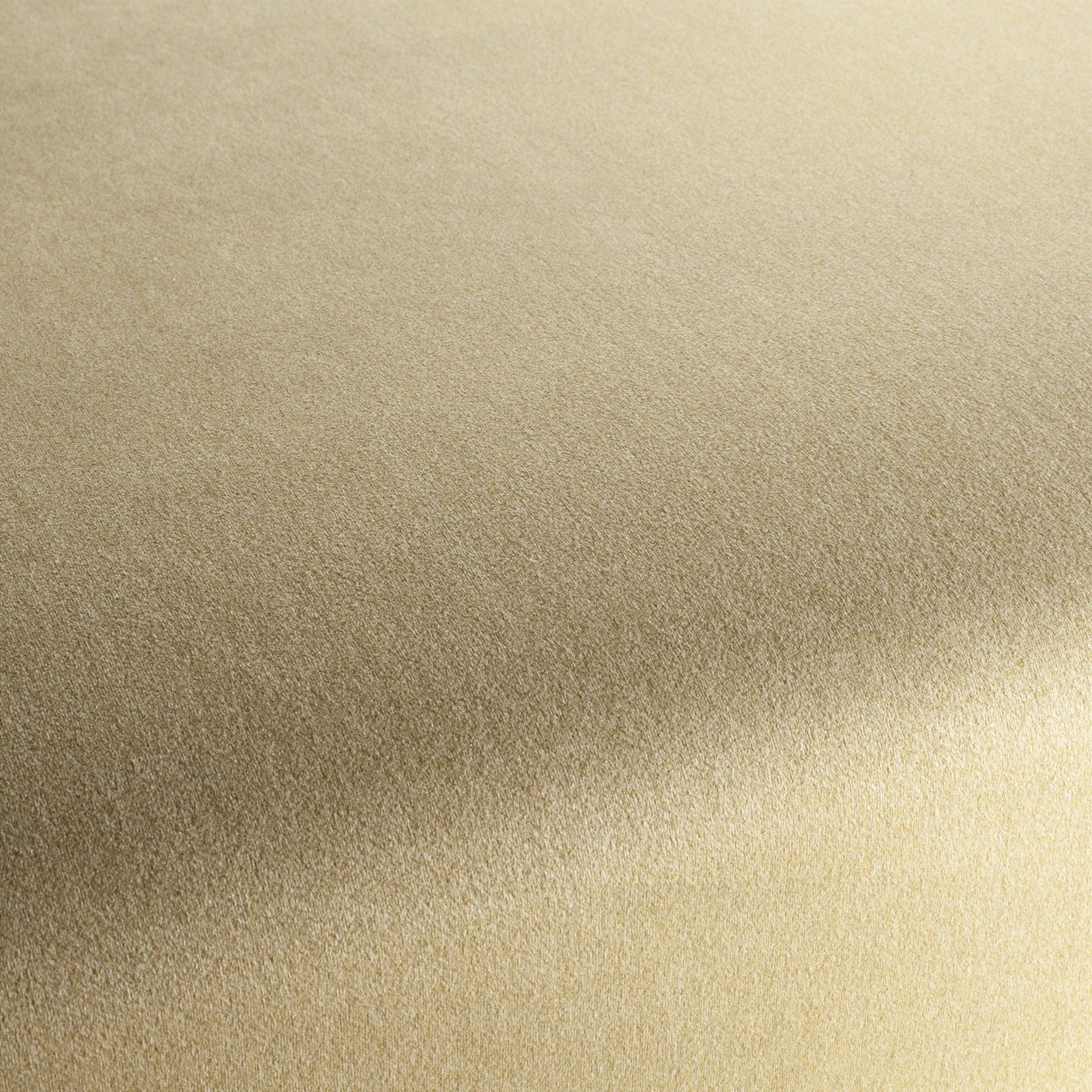 Ch3090 041 Shallow Chivasso Polsterstoff Samt Gold