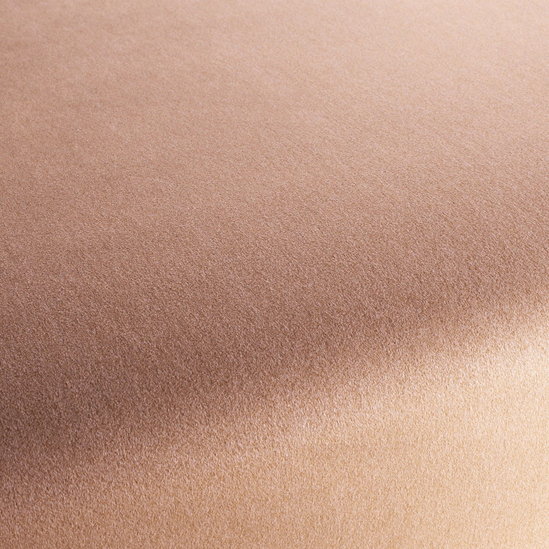 Ch3090 061 Shallow Chivasso Polsterstoff Samt Rosa