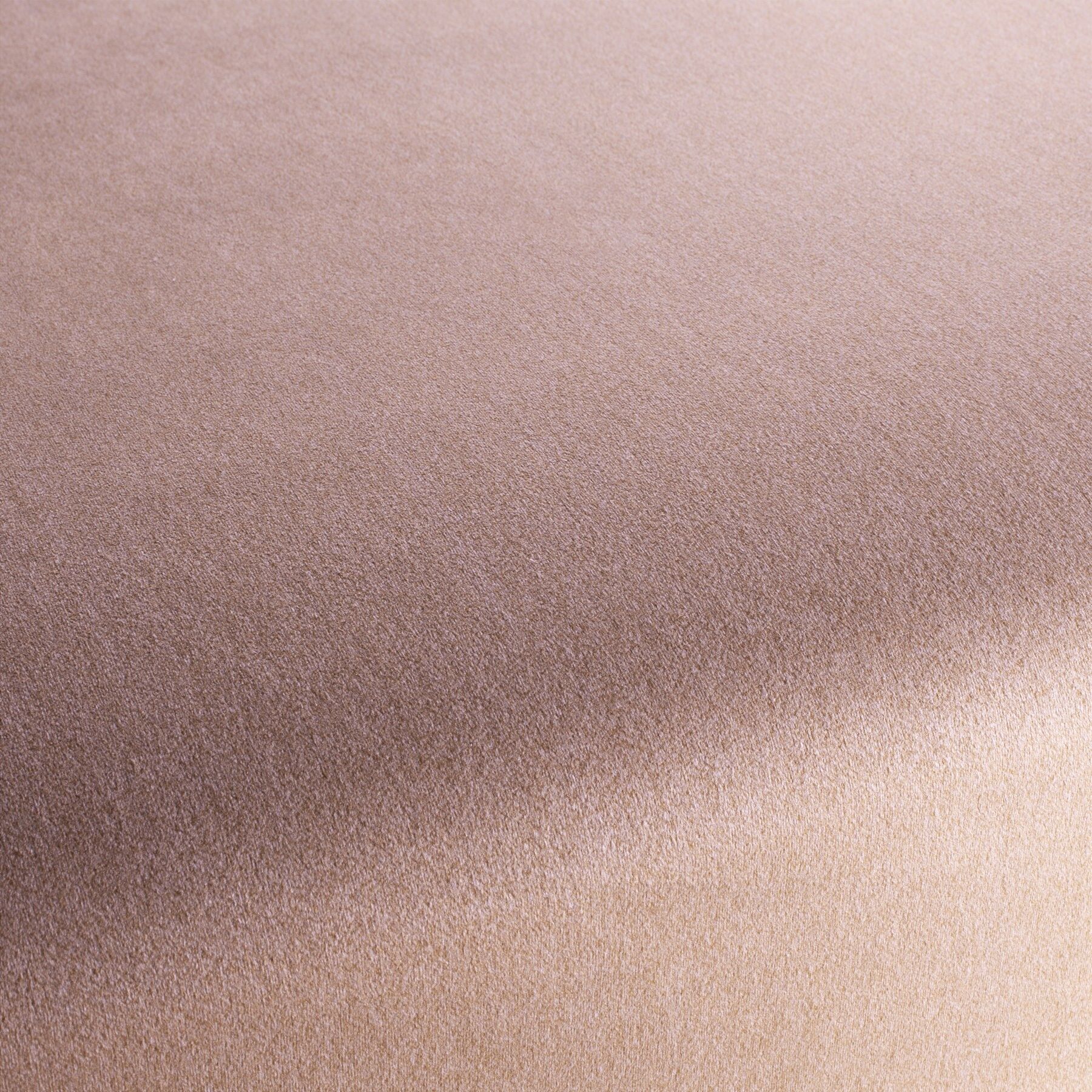 Ch3090 062 Shallow Chivasso Polsterstoff Samt Rosa