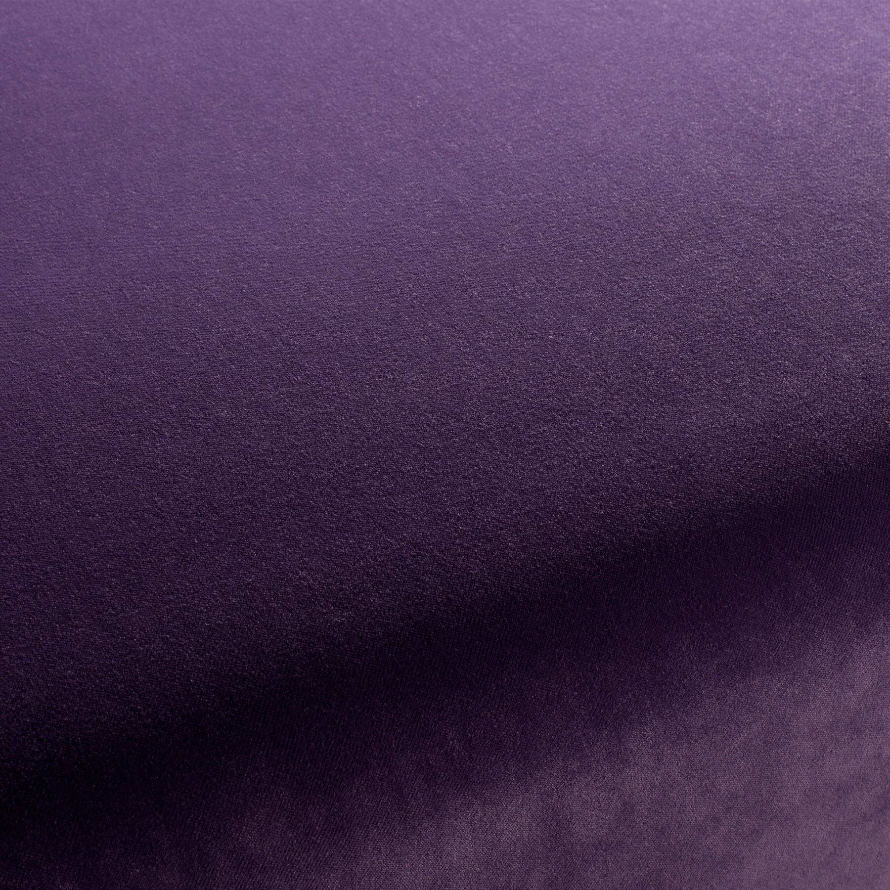 Ca7832 084 City Velvet Reloaded Samt Polsterstoff Lila