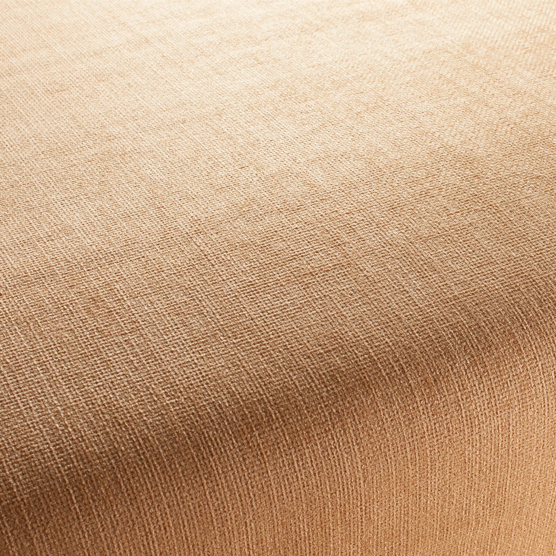 1 1243 041 Toro Jab Anstoetz Chenille Bezugsstoff Gold