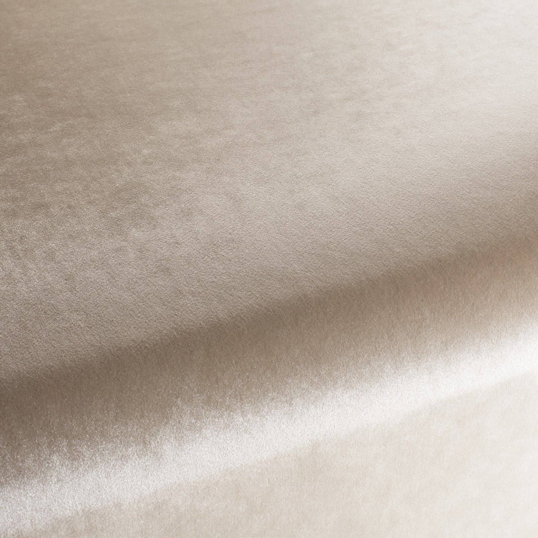 Ca1175 062 Palazzo Velvet Reloaded Exklusive Italienische Samt Moebelstoffe Von Carlucci Beige