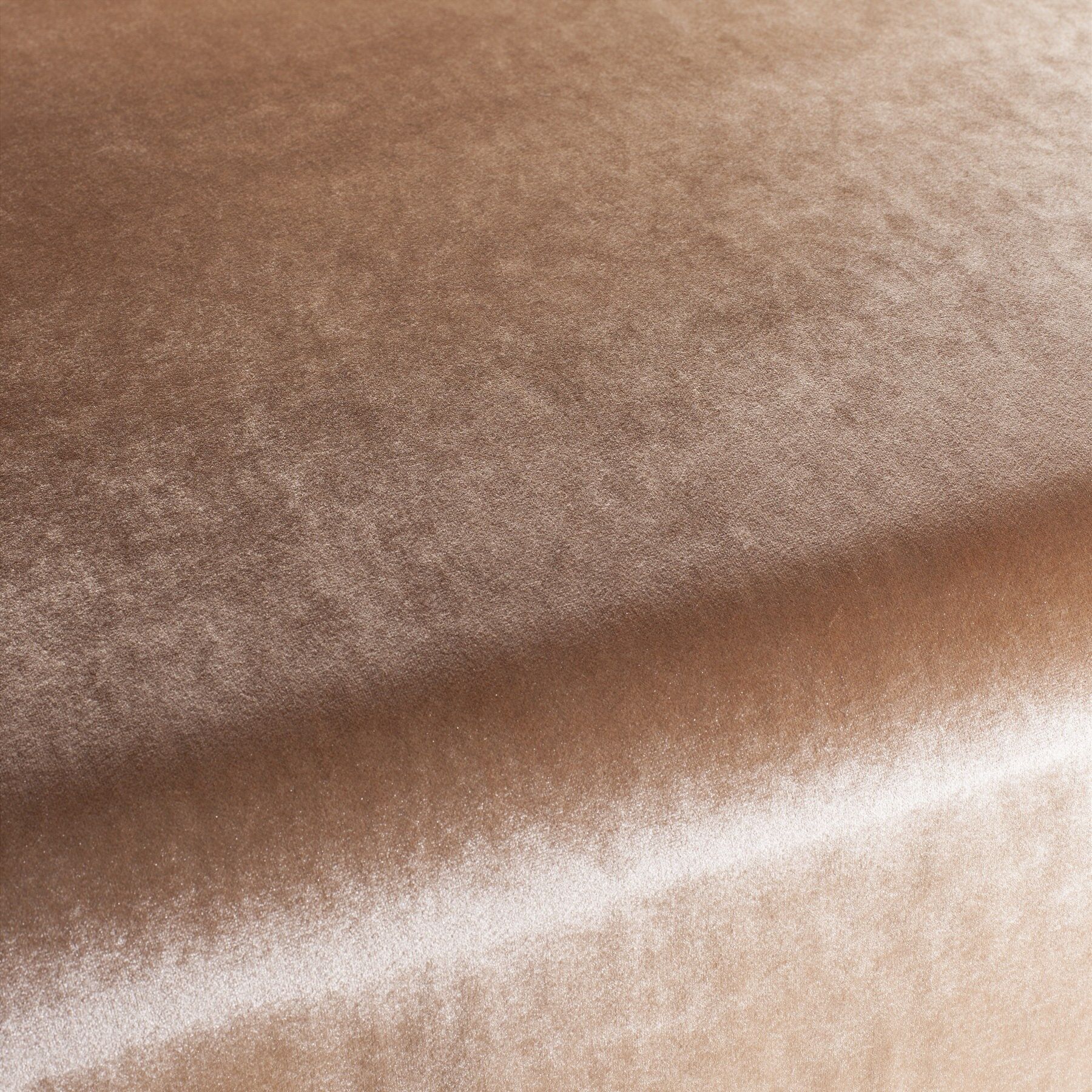 Ca1175 064 Palazzo Velvet Reloaded Exklusive Italienische Samt Moebelstoffe Von Carlucci Orange