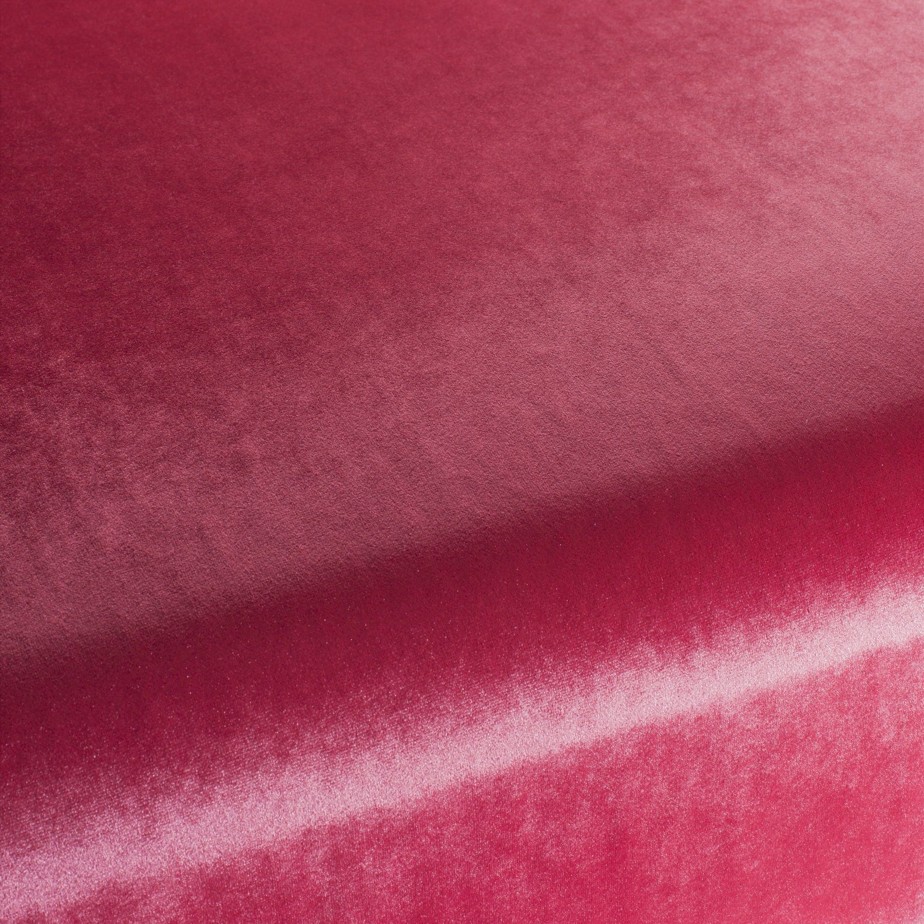 Ca1175 066 Palazzo Velvet Reloaded Exklusive Italienische Samt Moebelstoffe Von Carlucci Rosa