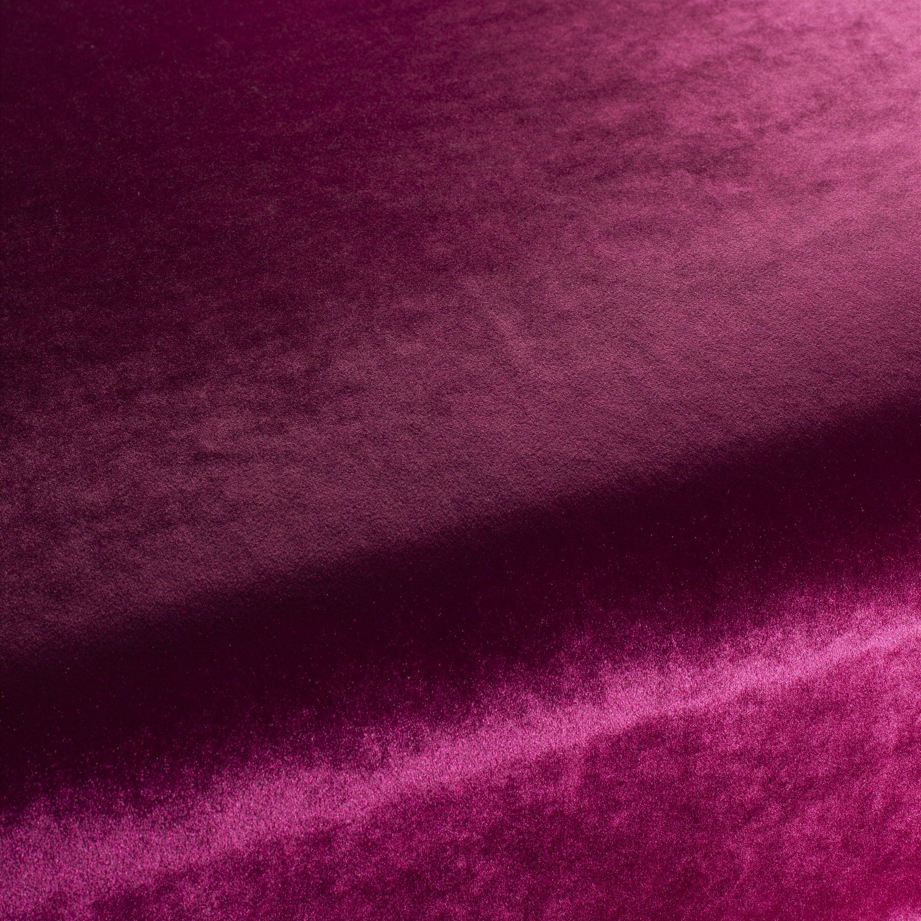 Ca1175 067 Palazzo Velvet Reloaded Exklusive Italienische Samt Moebelstoffe Von Carlucci Rosa