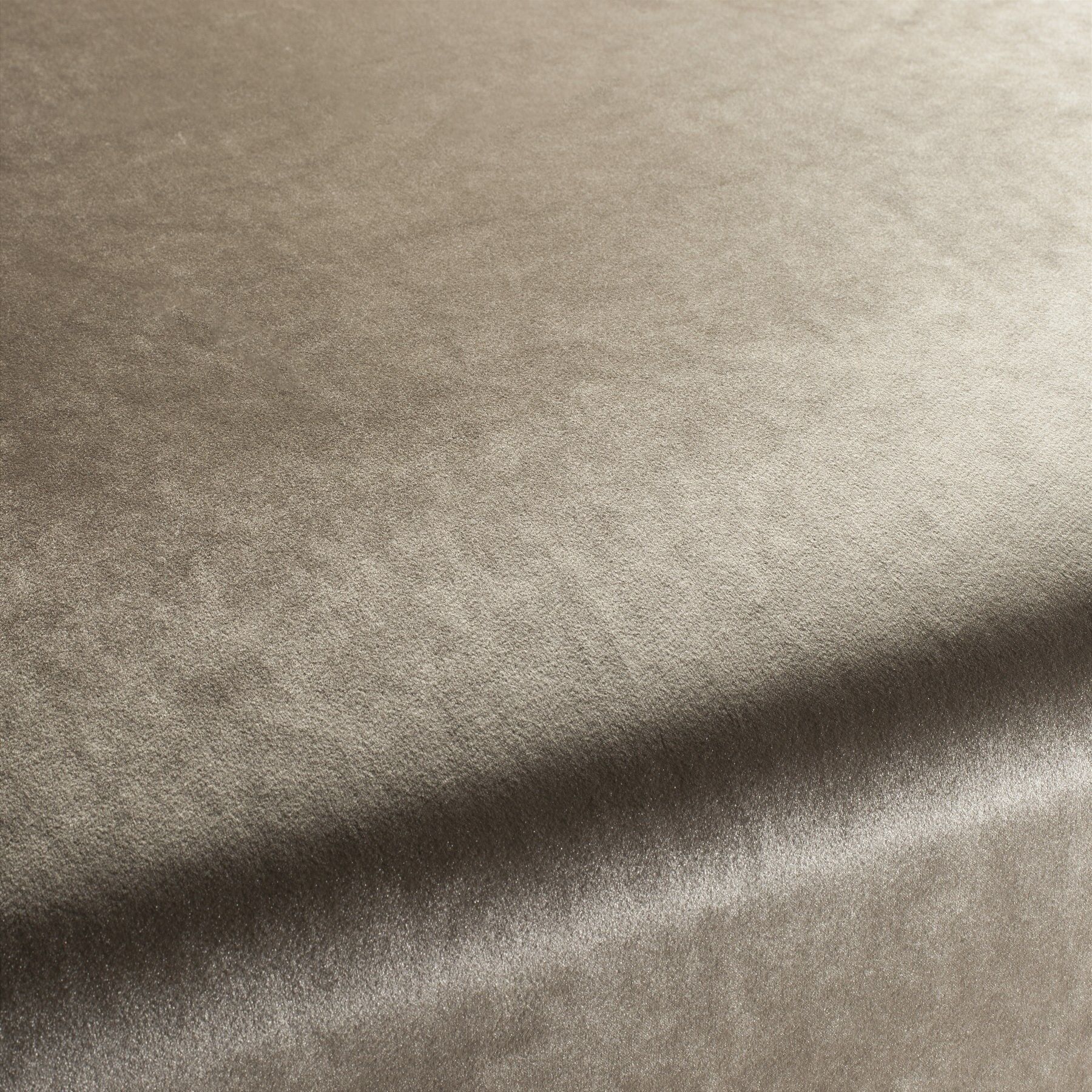 Ca1175 073 Palazzo Velvet Reloaded Exklusive Italienische Samt Moebelstoffe Von Carlucci Beige