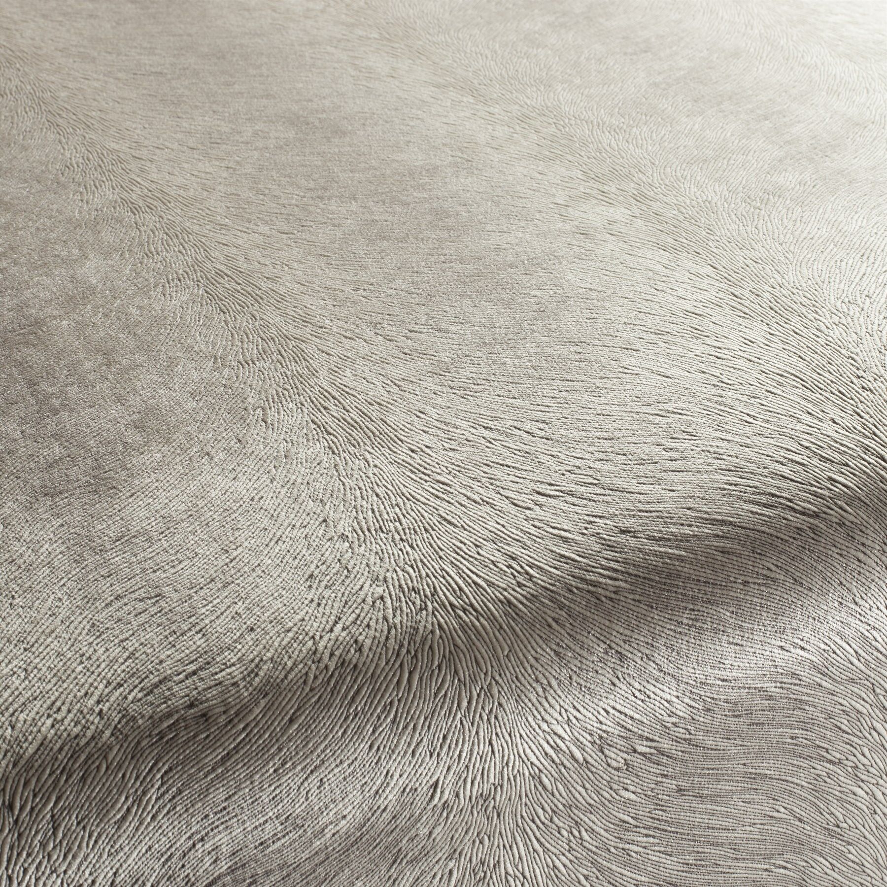 Ca1292 070 Pistoia Velvet Exklusive Italienische Samt Moebelstoffe Stoffe Beige