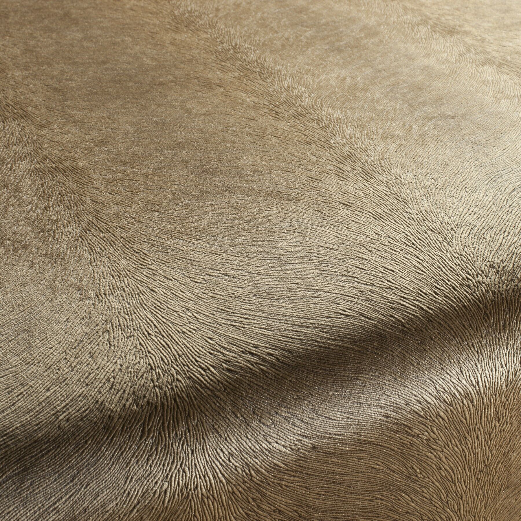 Ca1292 074 Pistoia Velvet Exklusive Italienische Samt Moebelstoffe Stoffe Beige