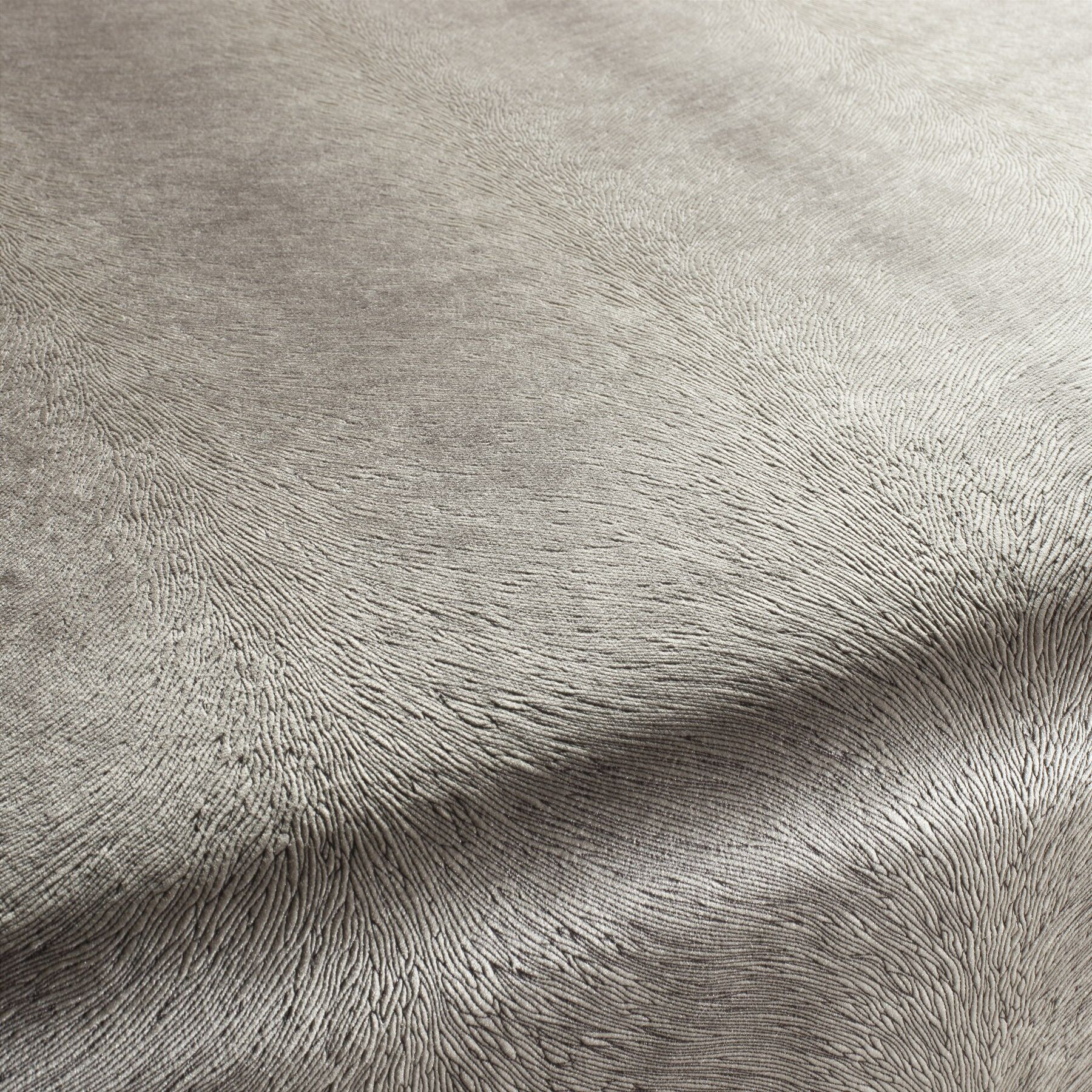 Ca1292 075 Pistoia Velvet Exklusive Italienische Samt Moebelstoffe Stoffe Beige
