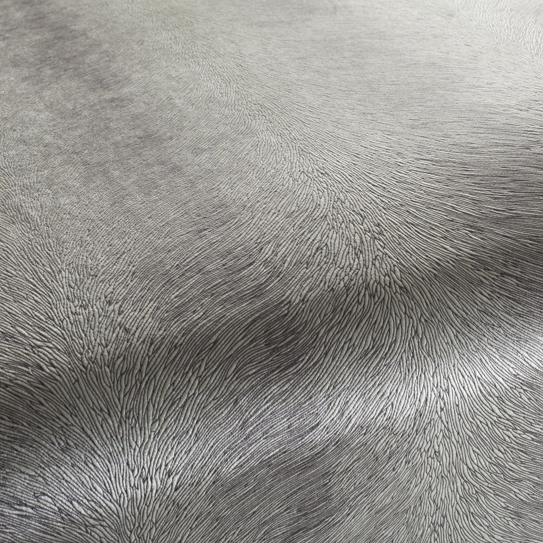 Ca1292 076 Pistoia Velvet Exklusive Italienische Samt Moebelstoffe Stoffe Grau Beige