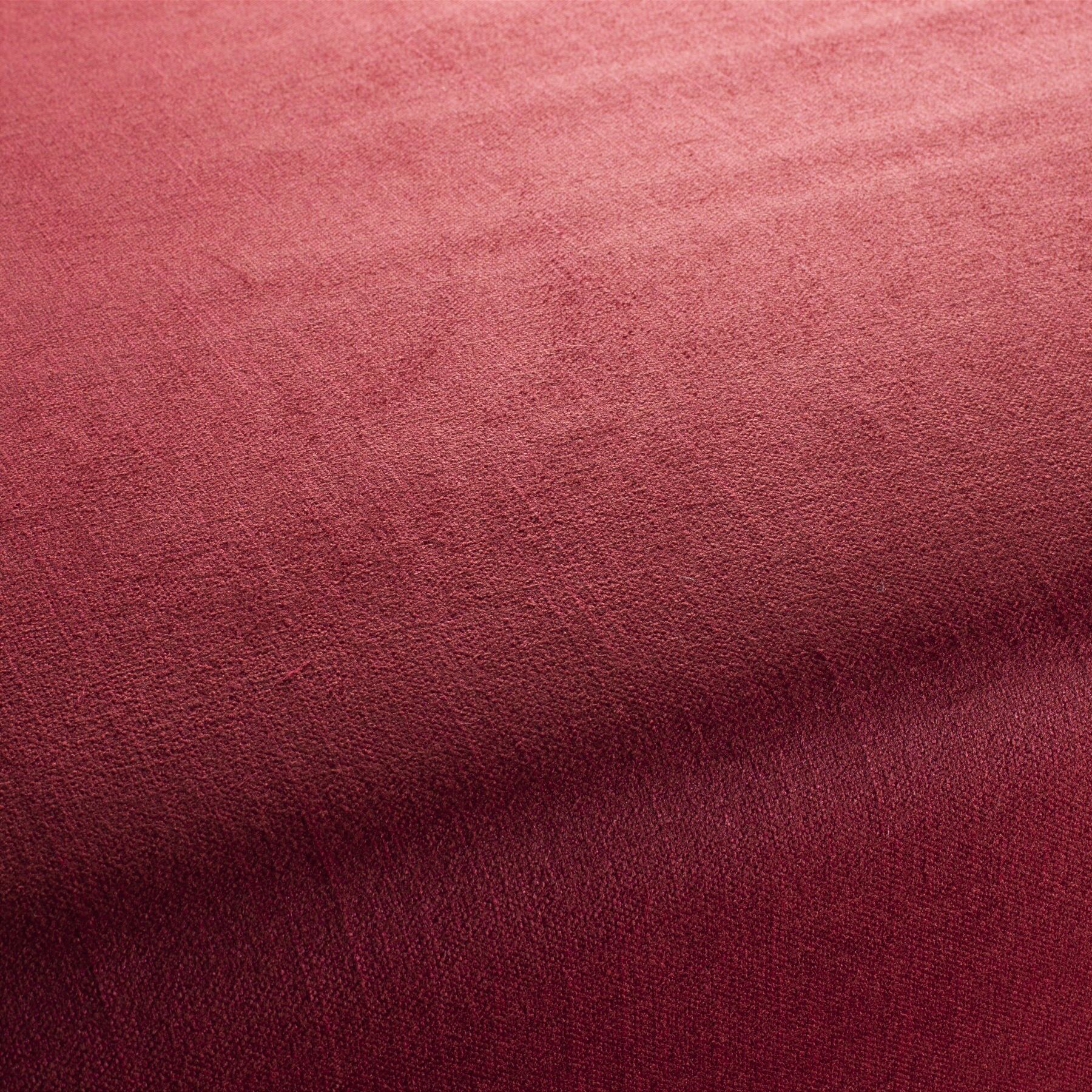 Ch2902 064 My Love Reboot Polstermoebel Bezugsstoff Rosa