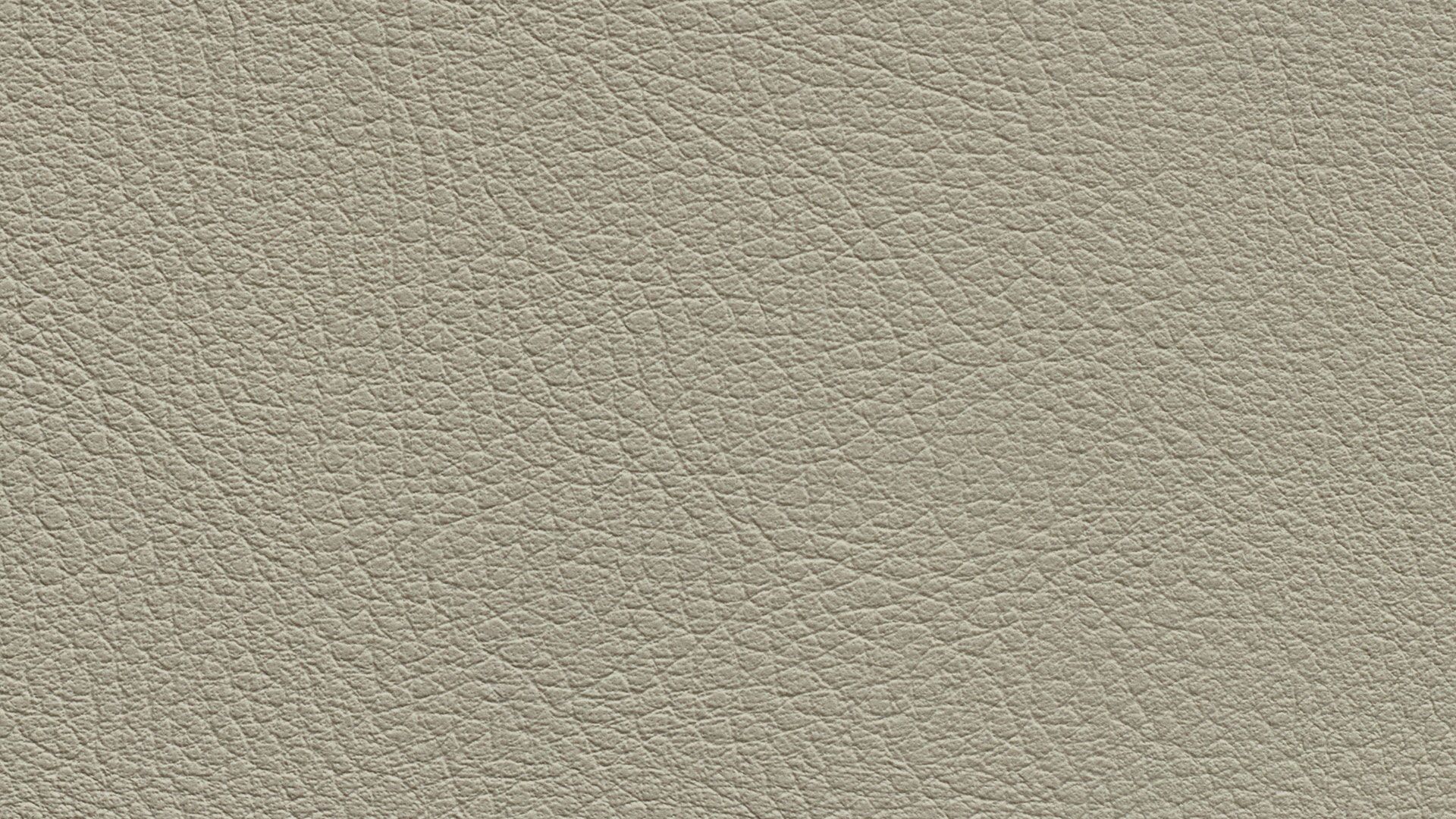 331439 Sk Chance Sonnhaus Kunstleder Meterware Beige Grau