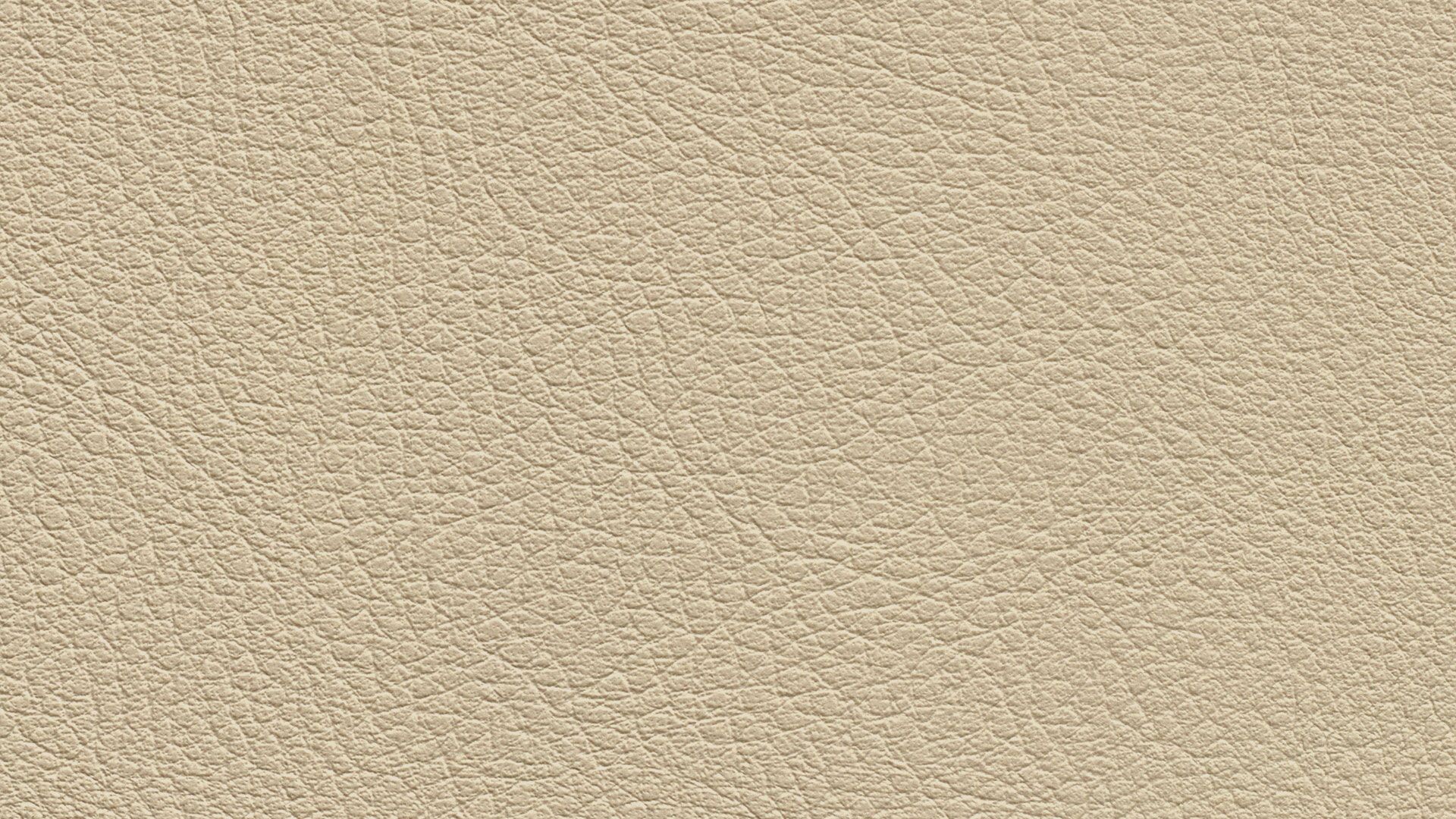 331562 Sk Chance Sonnhaus Kunstleder Meterware Beige