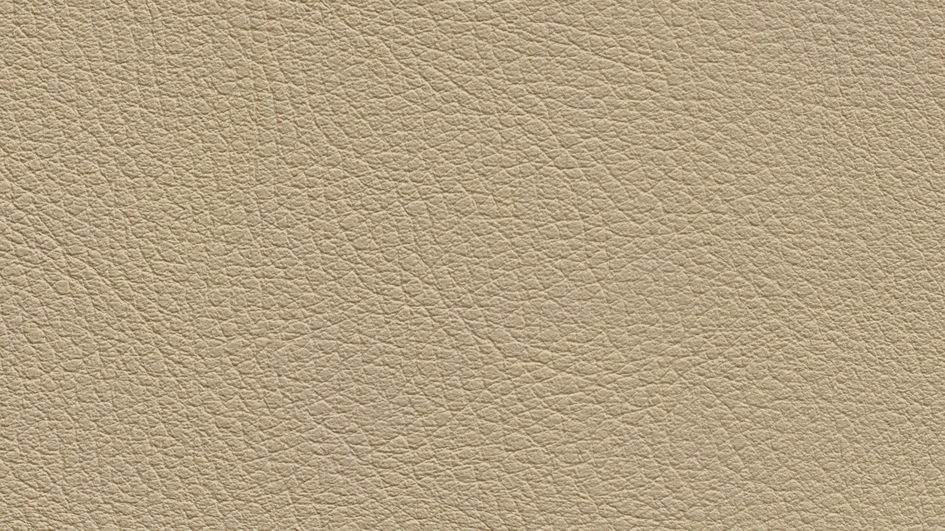 331566 Sk Chance Sonnhaus Kunstleder Meterware Beige