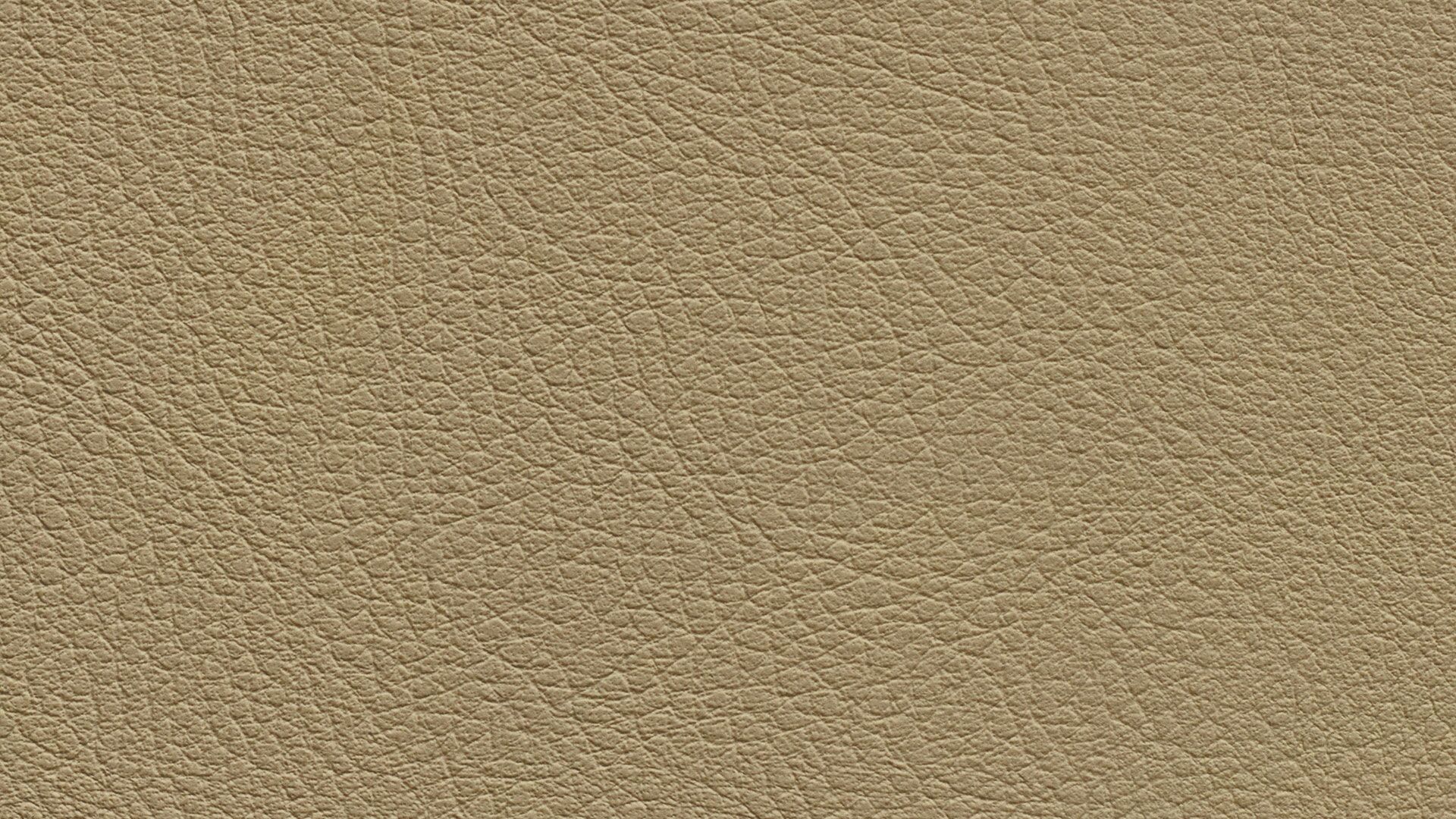 331571 Sk Chance Sonnhaus Kunstleder Meterware Beige