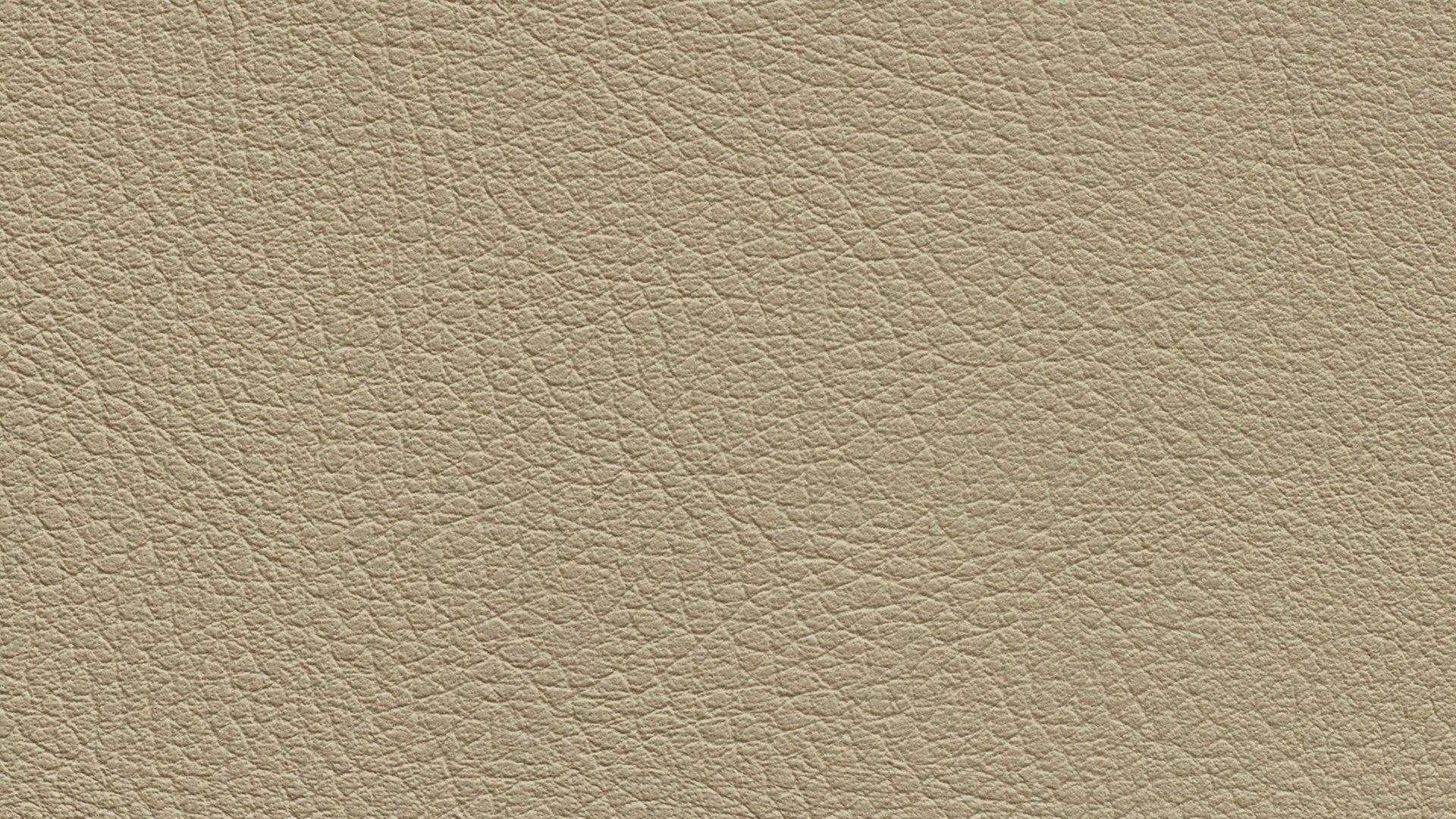331573 Sk Chance Sonnhaus Kunstleder Meterware Beige