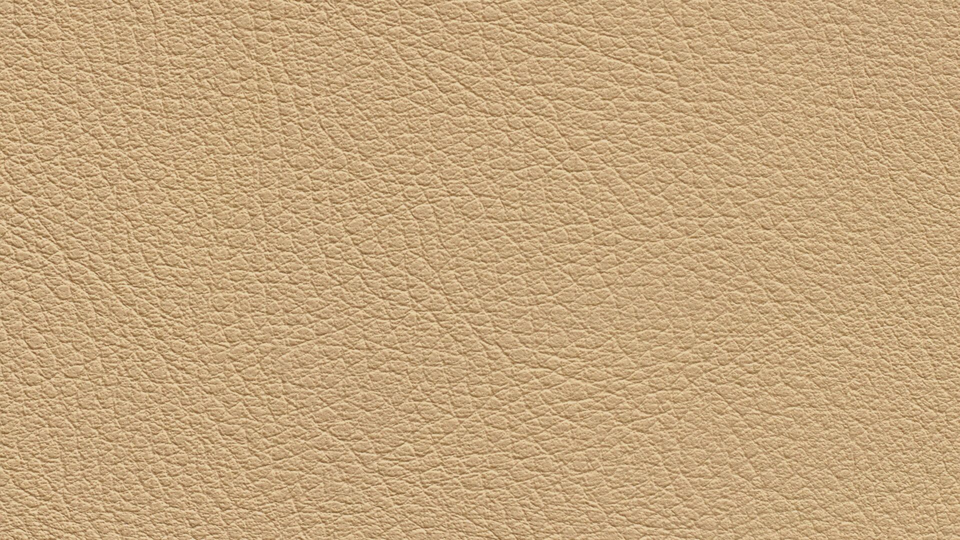 331599 Sk Chance Sonnhaus Kunstleder Meterware Beige