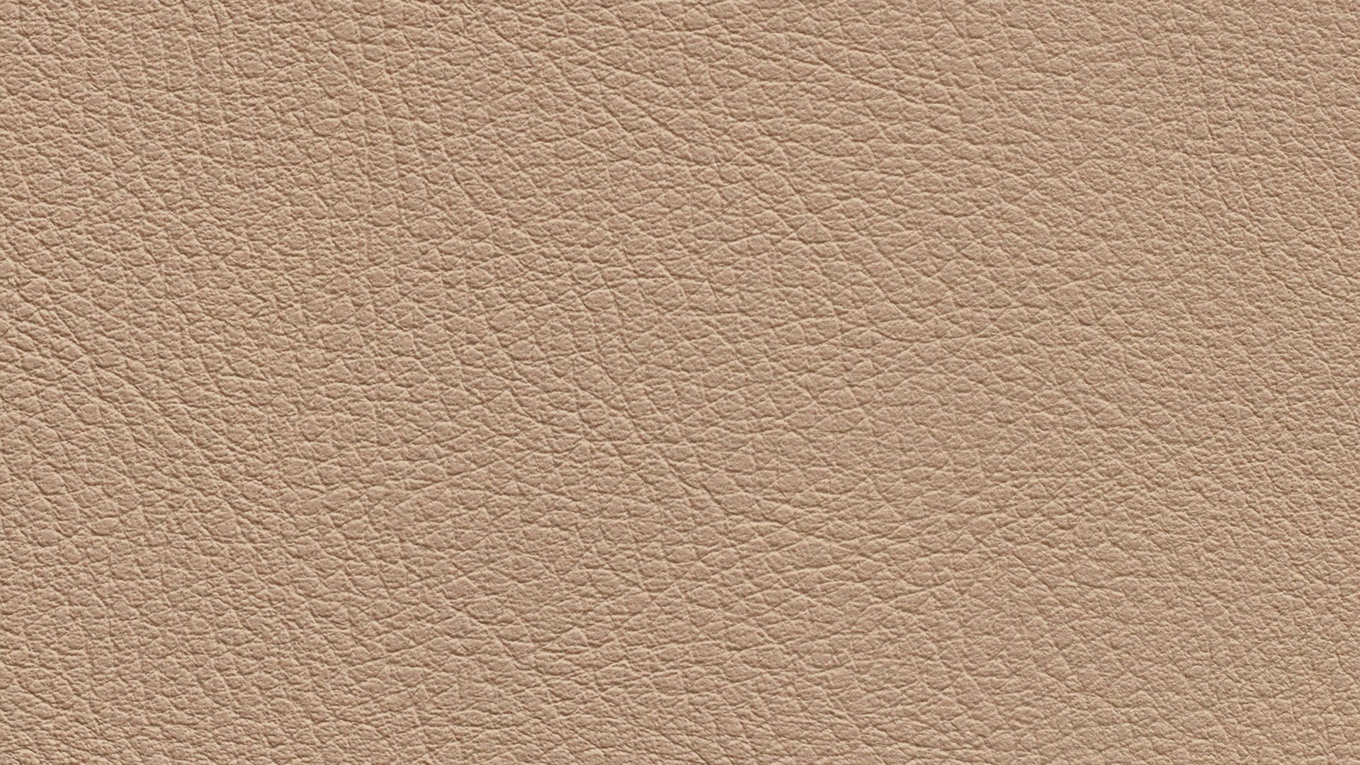 331629 Sk Chance Sonnhaus Kunstleder Meterware Beige