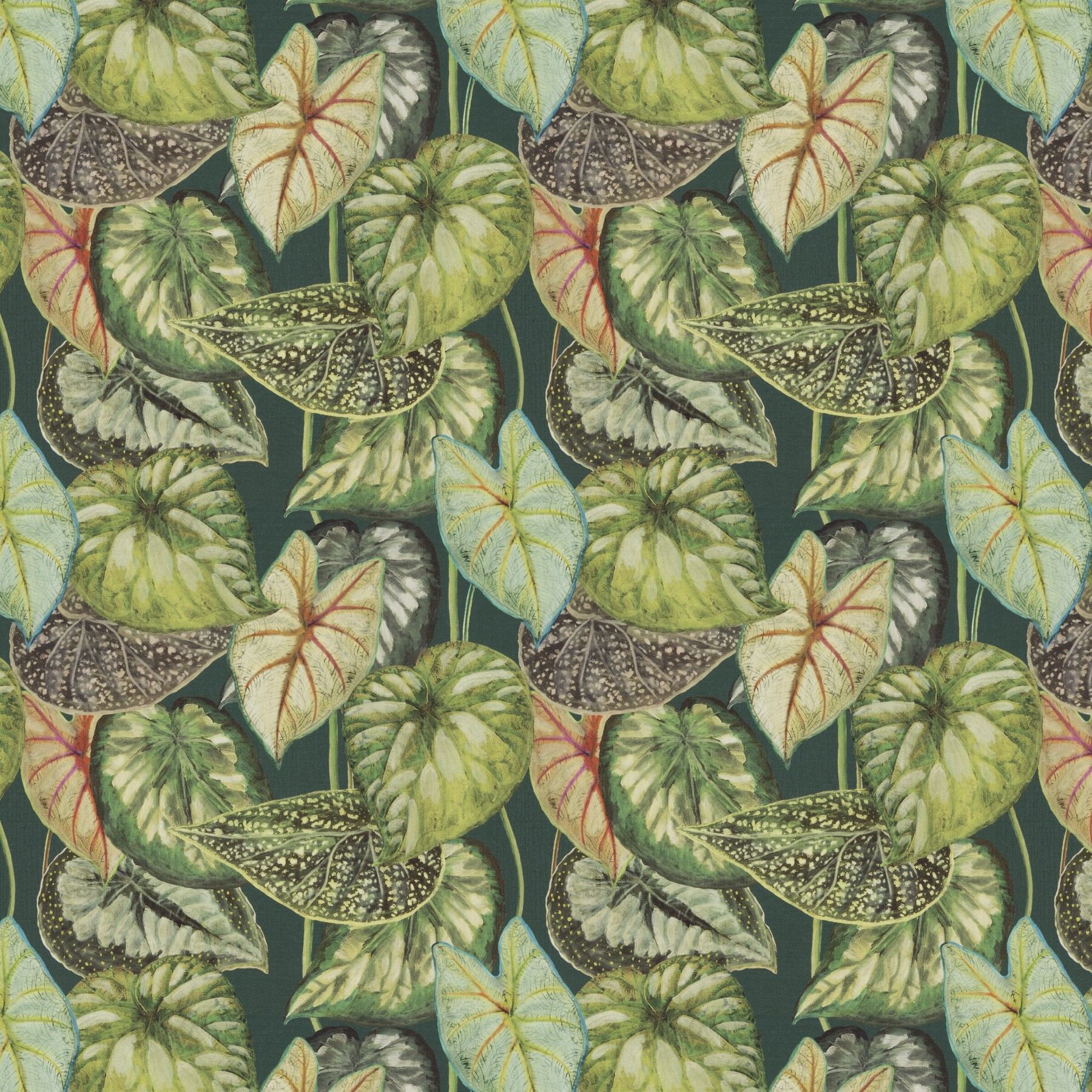 Ja8040 030 Bromelia Jab Vorhangstoff Meterware Gemustert Gruen 1