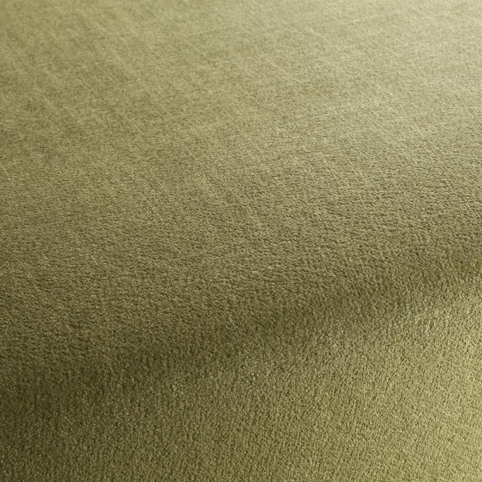 dario-chenille-polsterstoff-uni-polsterstoff-gruen-polsterstoff-weiss-creme-von-jab-anstoetz