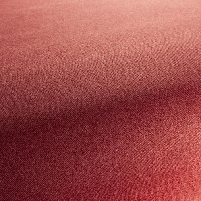 smart-1-3139-010-velour-mit-fleckschutz-rot-von-jab-anstoetz