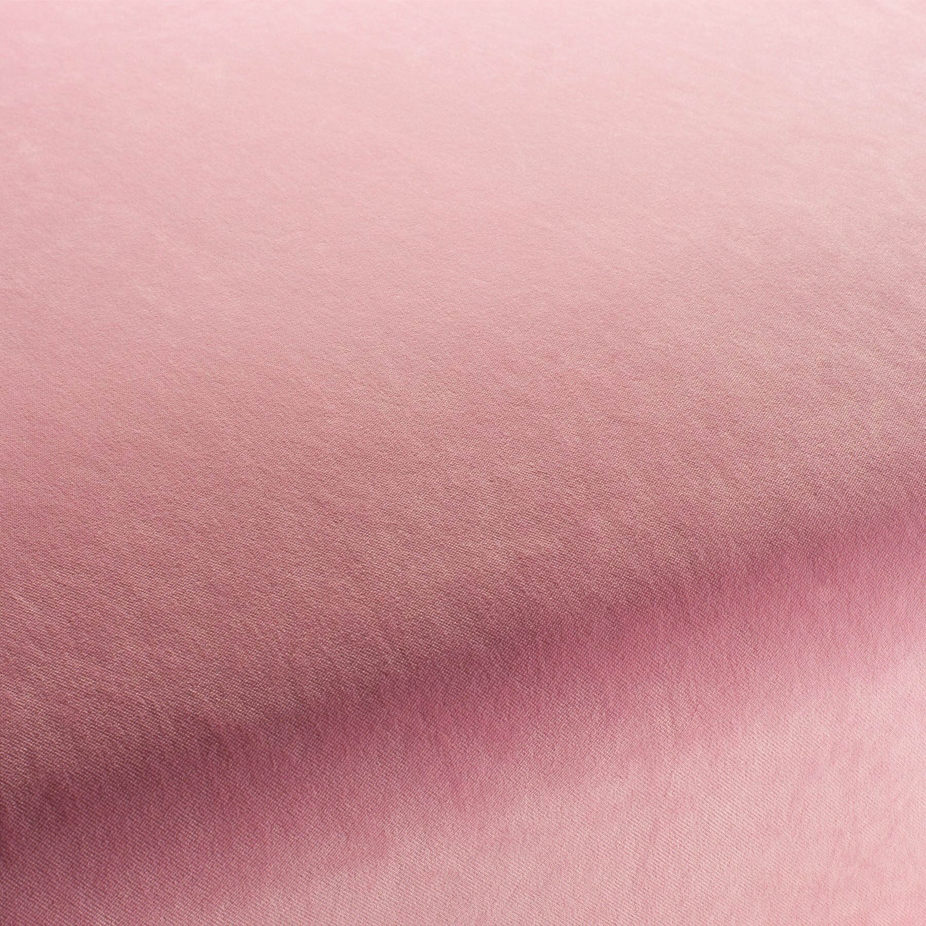Ca7832 065 City Velvet Reloaded Samt Polsterstoff Rosa Ca7832 065 City Velvet Reloaded Samt Polsterstoff Rosa
