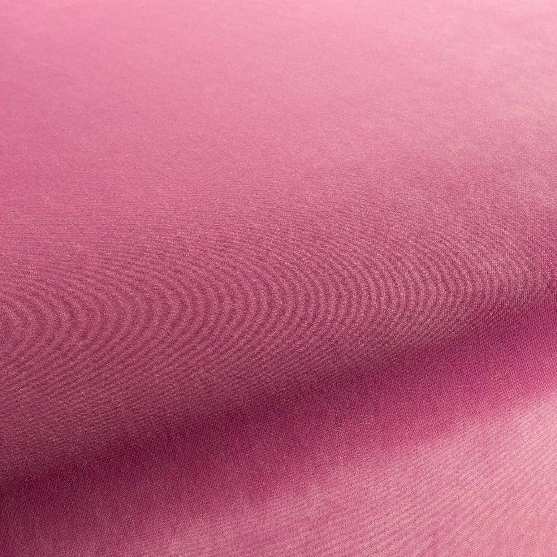 Ca7832 066 City Velvet Reloaded Samt Polsterstoff Rosa Ca7832 066 City Velvet Reloaded Samt Polsterstoff Rosa