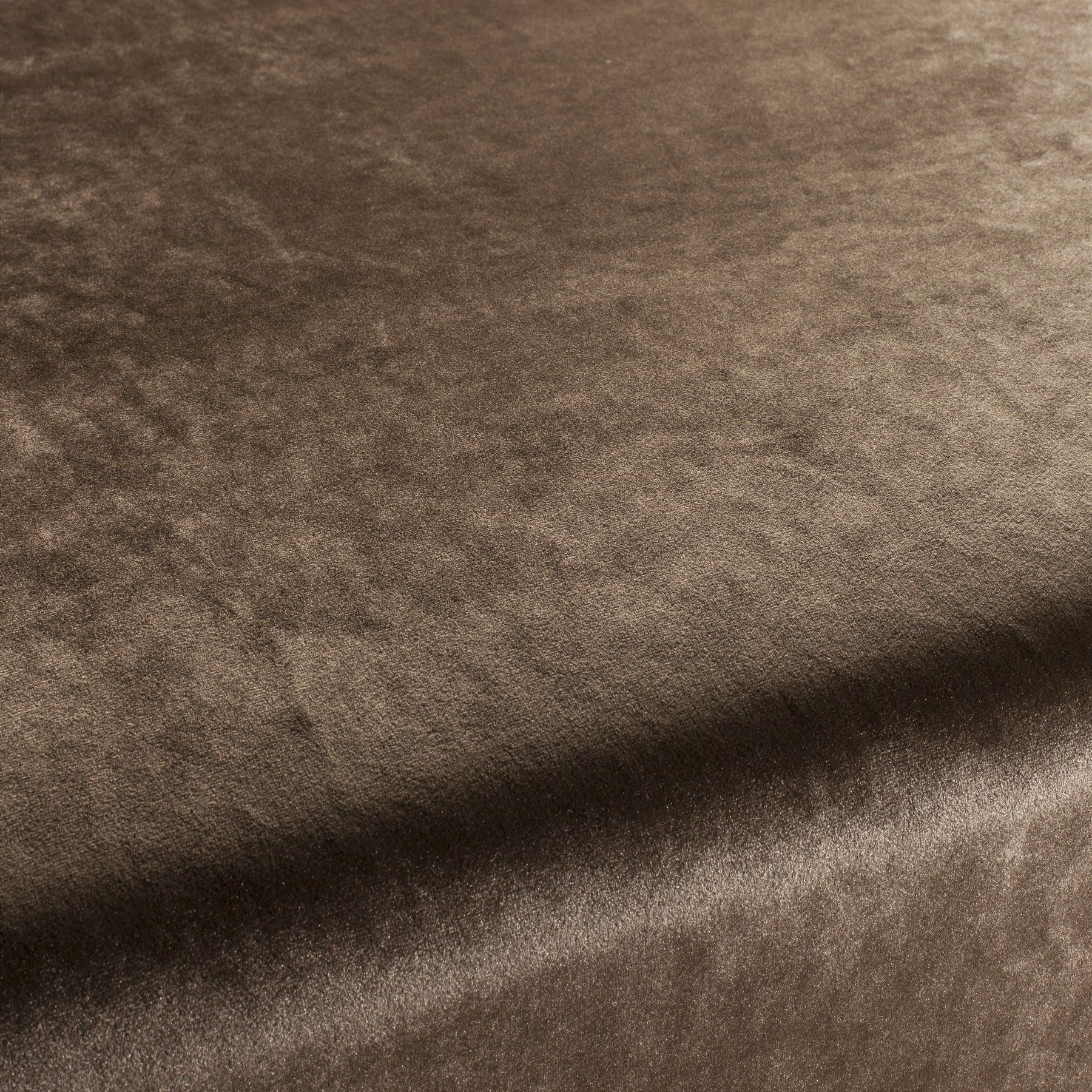 Ca1175 023 Palazzo Velvet Reloaded Exklusive Italienische Samt Moebelstoffe Von Carlucci Braun