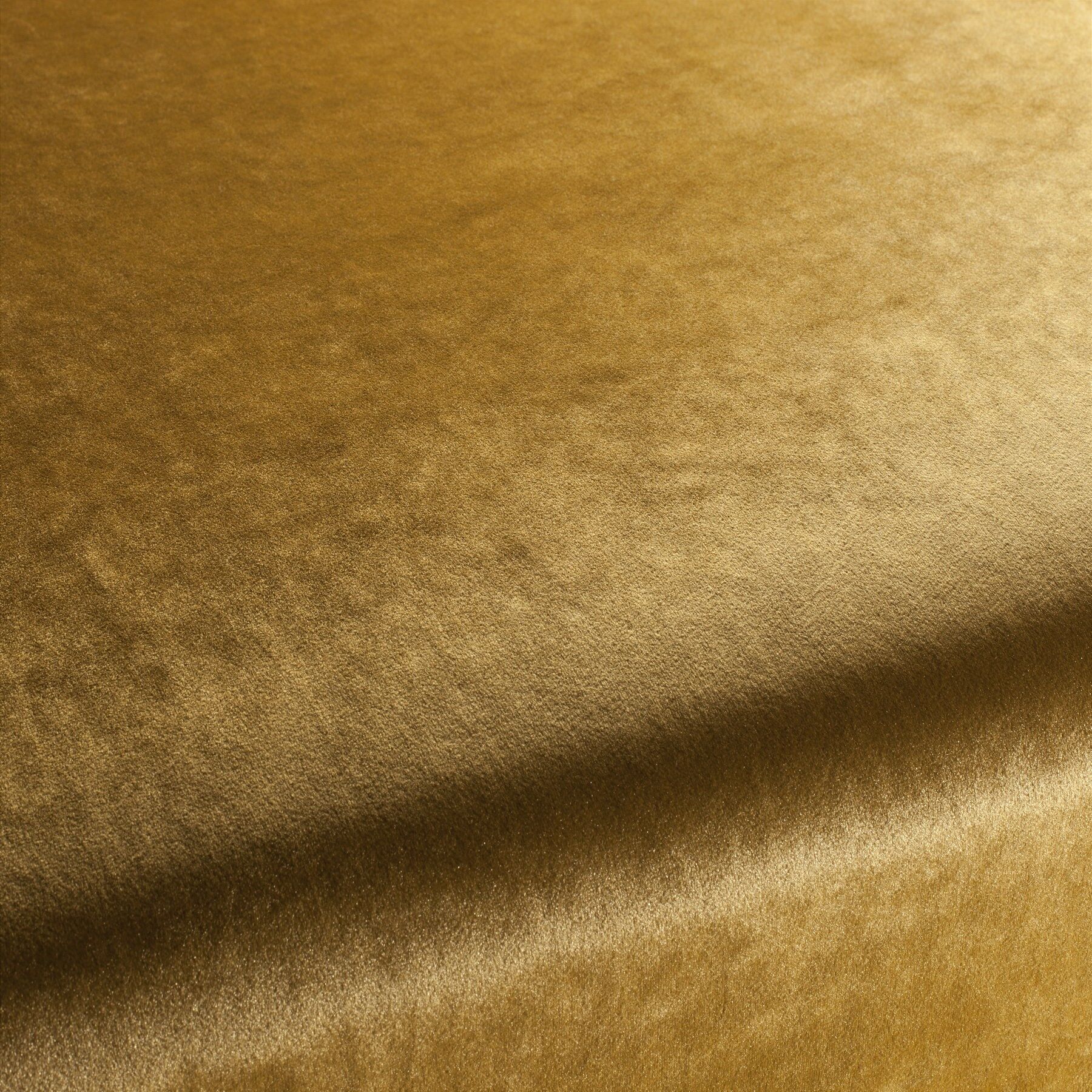 Ca1175 040 Palazzo Velvet Reloaded Exklusive Italienische Samt Moebelstoffe Von Carlucci Gold