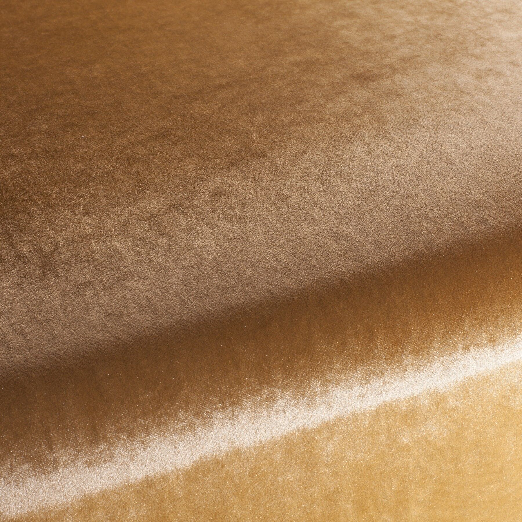 Ca1175 063 Palazzo Velvet Reloaded Exklusive Italienische Samt Moebelstoffe Von Carlucci Orange